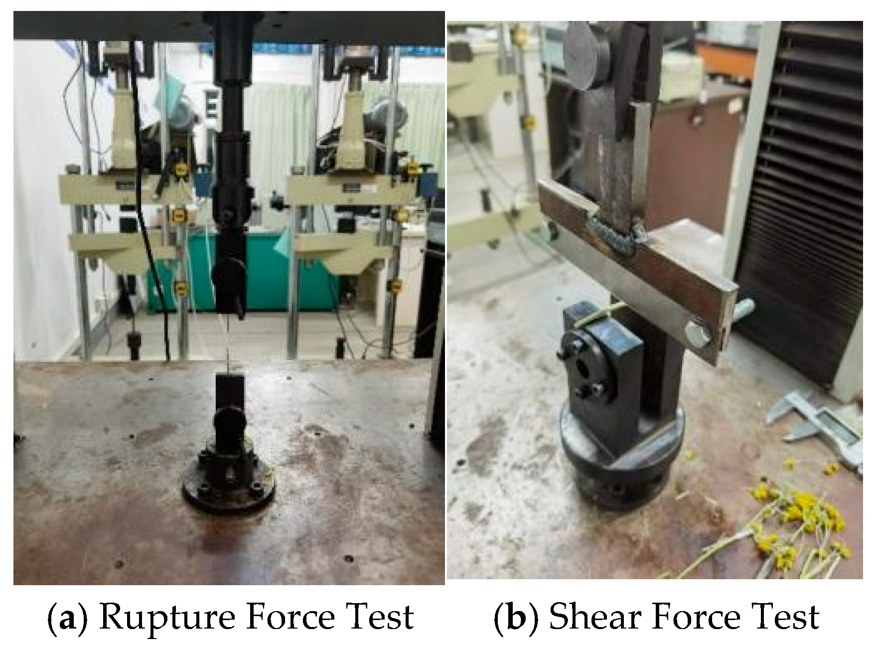 Agriculture 15 01147 g004