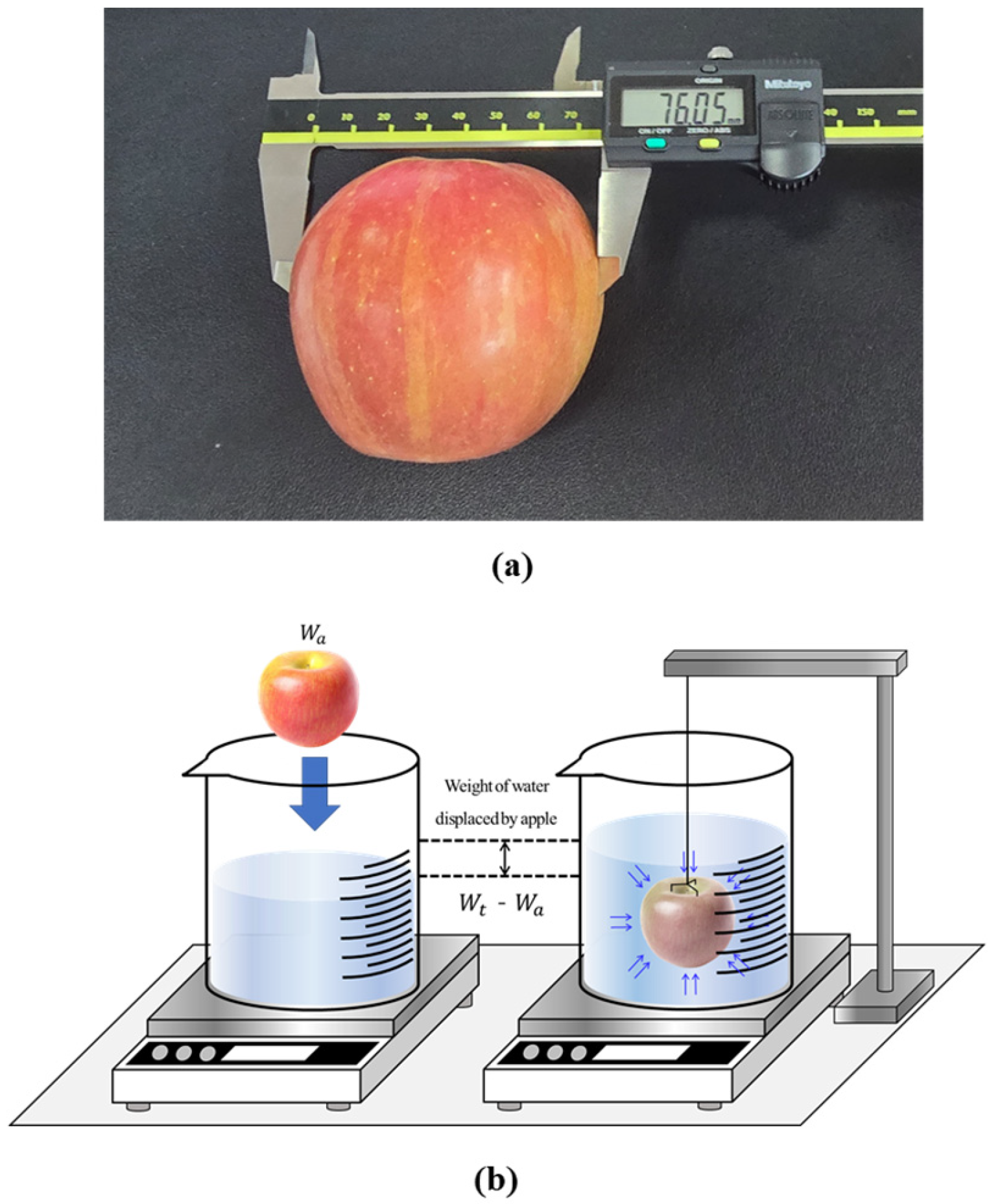 Agriculture 15 01148 g003