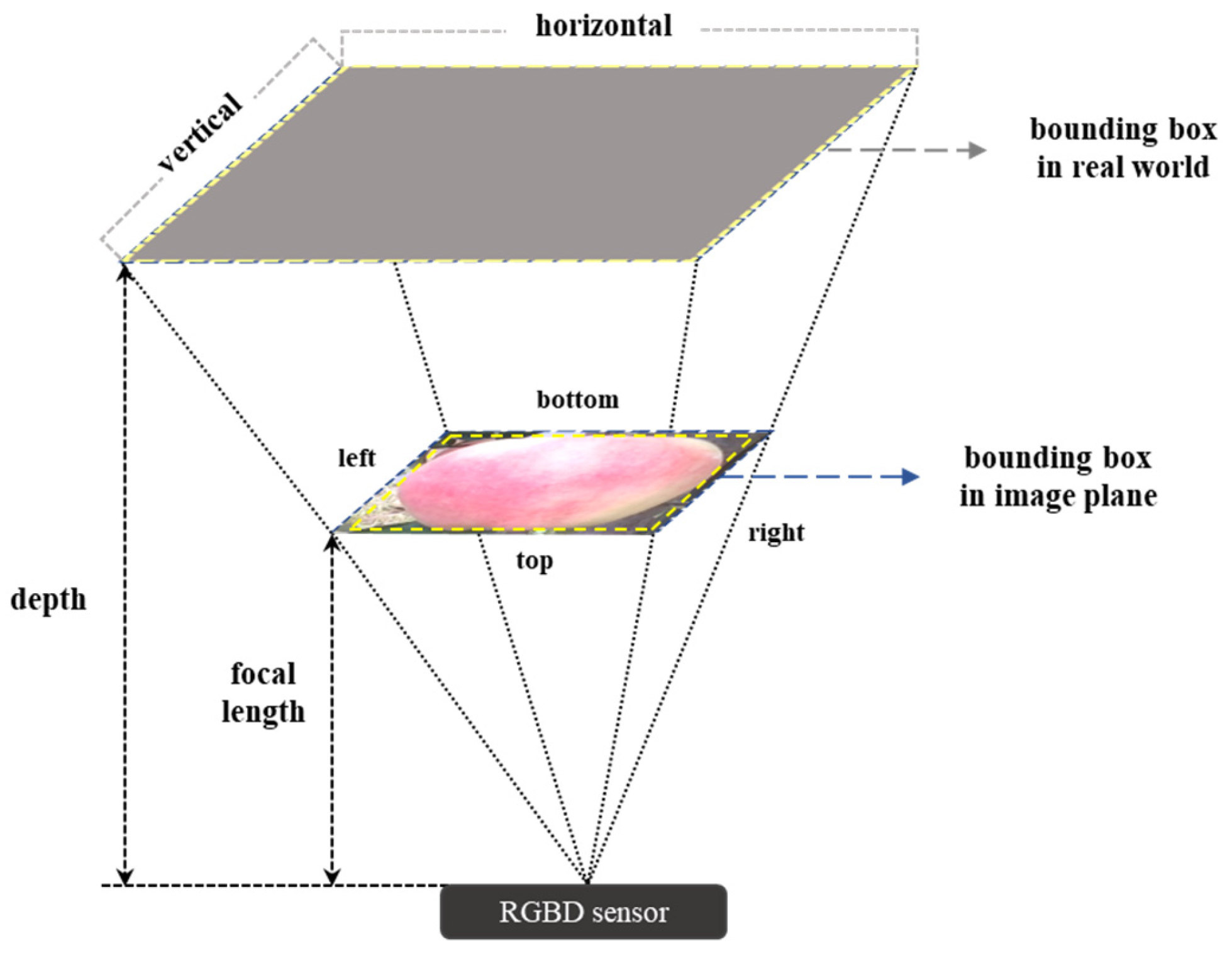 Agriculture 15 01148 g008