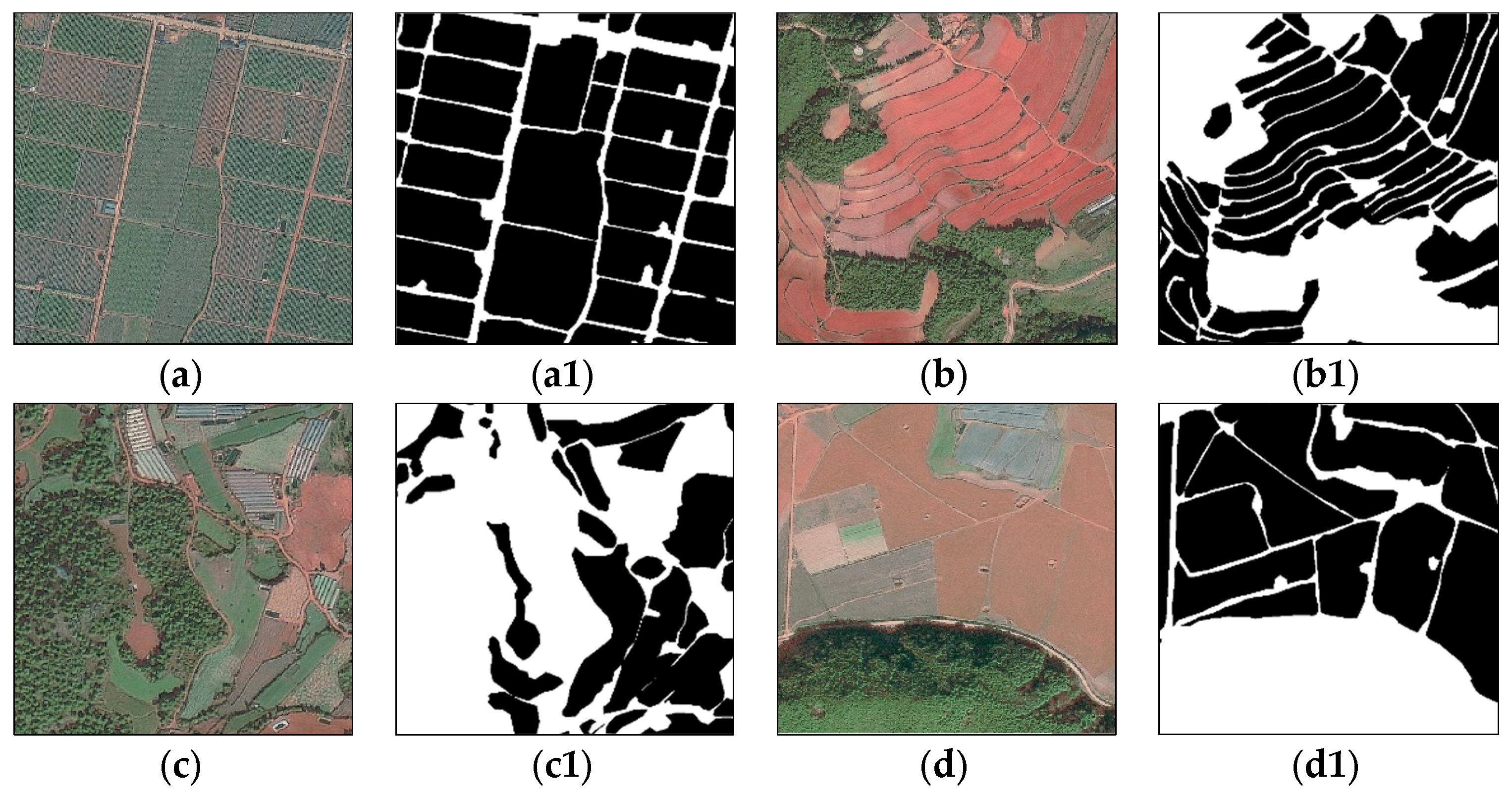 Agriculture 15 01152 g002