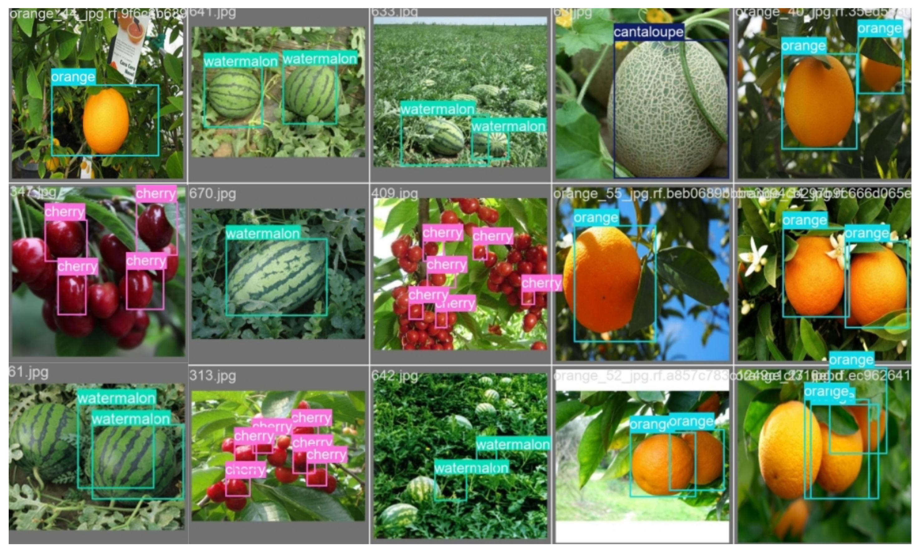 Agriculture 15 01173 g009