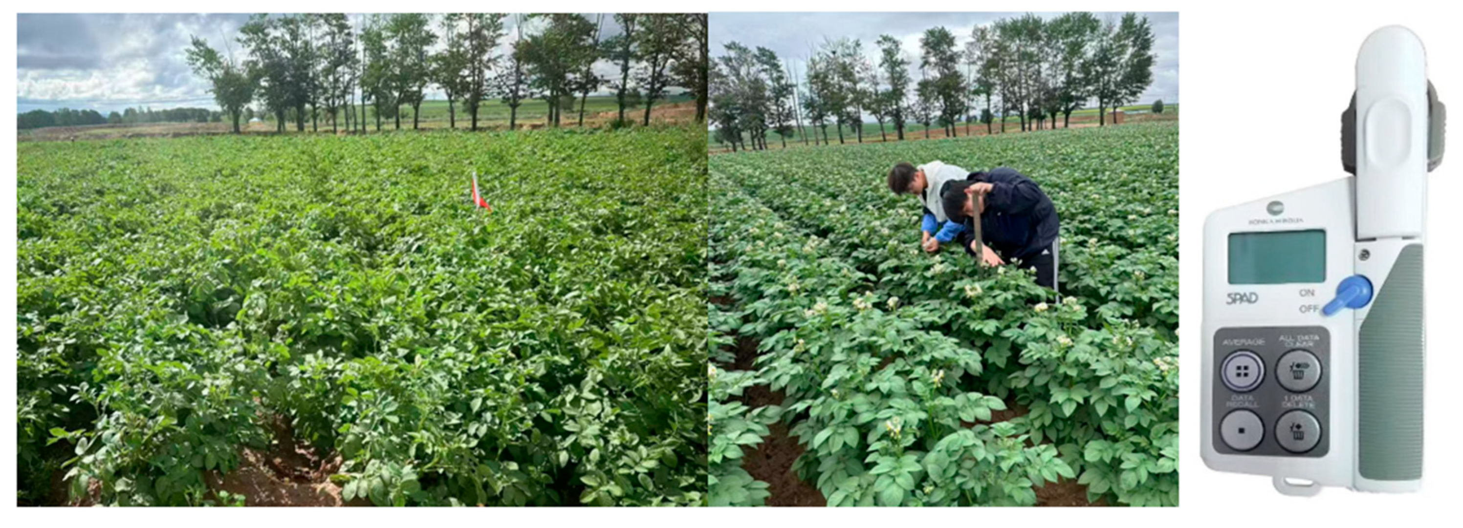 Agriculture 15 01181 g002