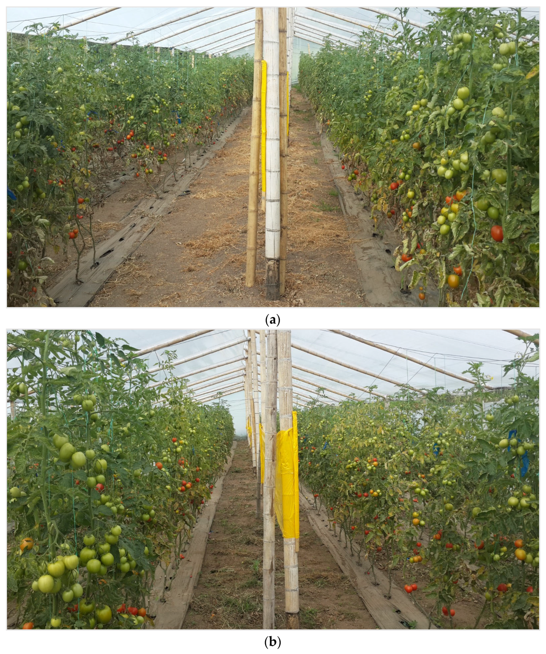 Agriculture 15 01191 g003