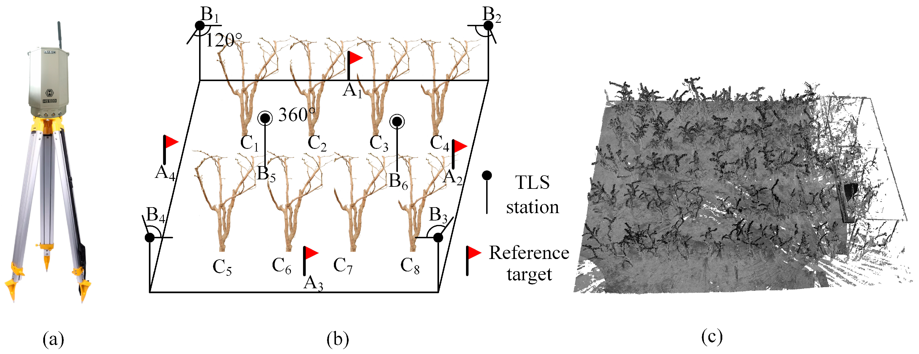 Agriculture 15 01193 g002