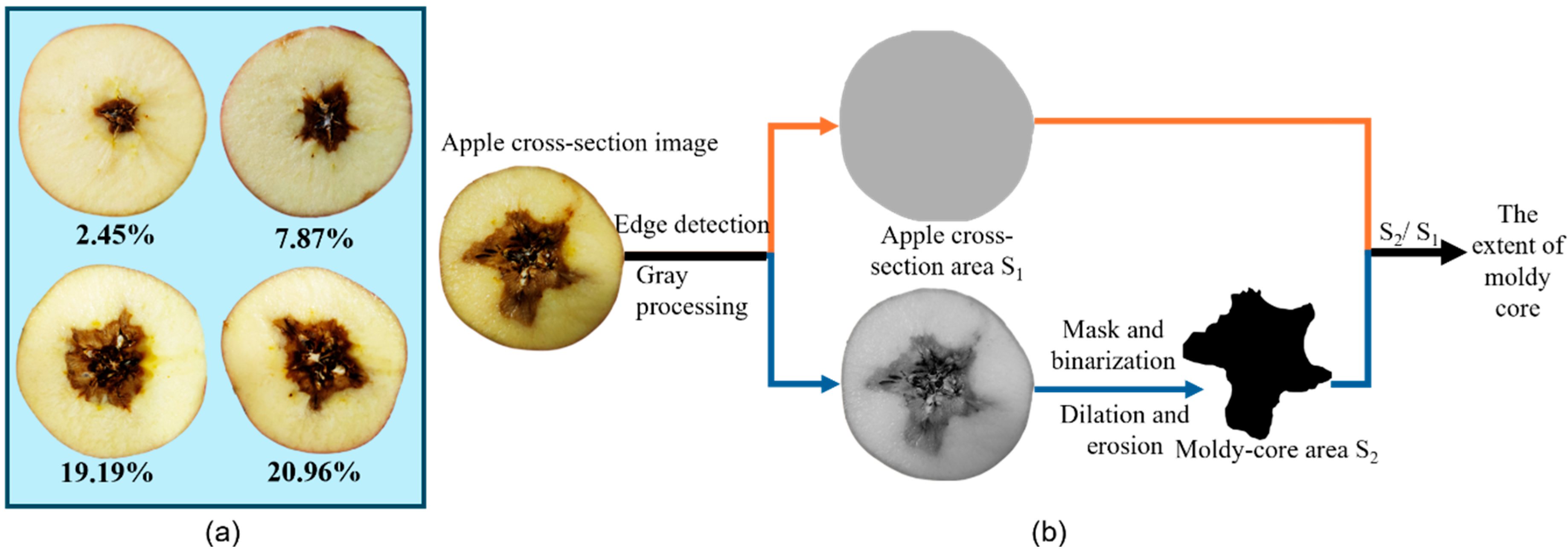Agriculture 15 01202 g002