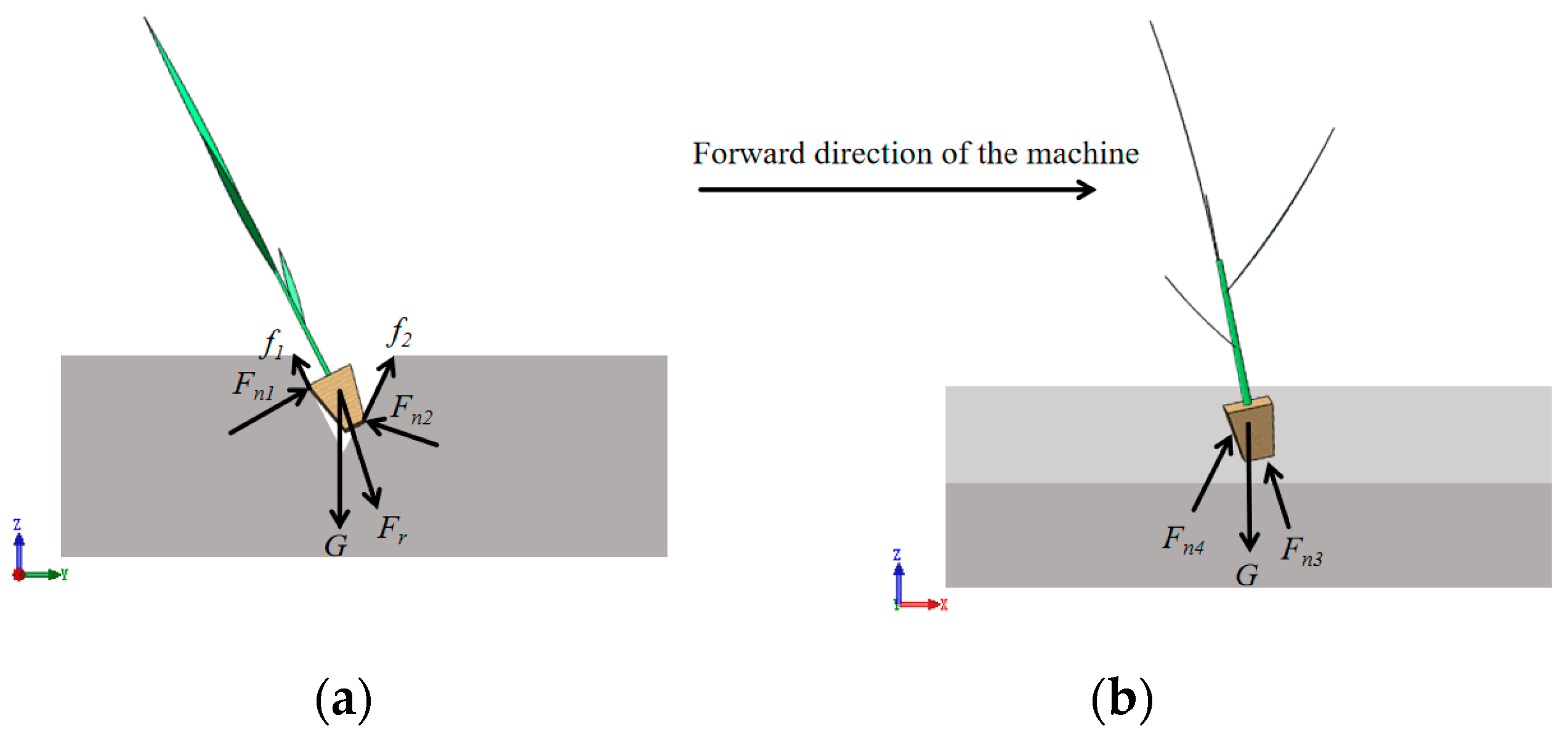 Agriculture 15 01206 g004