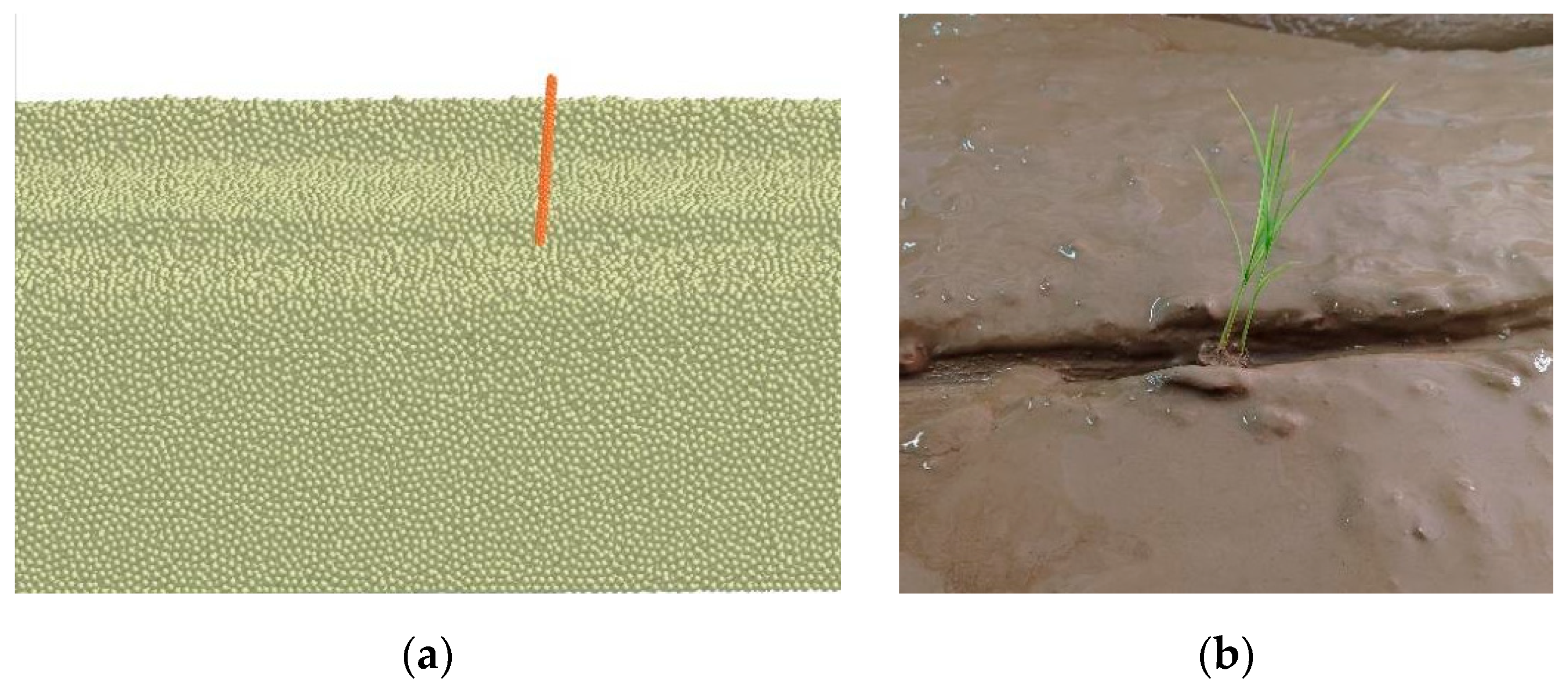 Agriculture 15 01206 g016