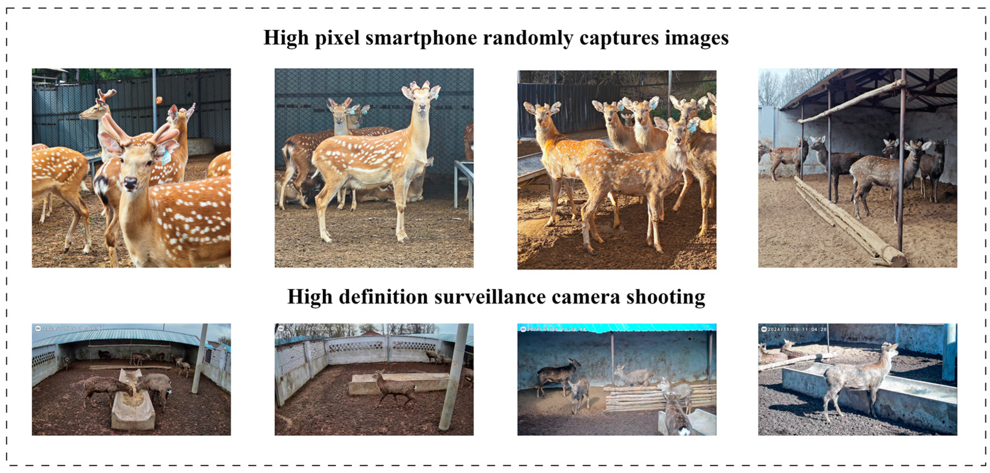 Agriculture 15 01218 g001