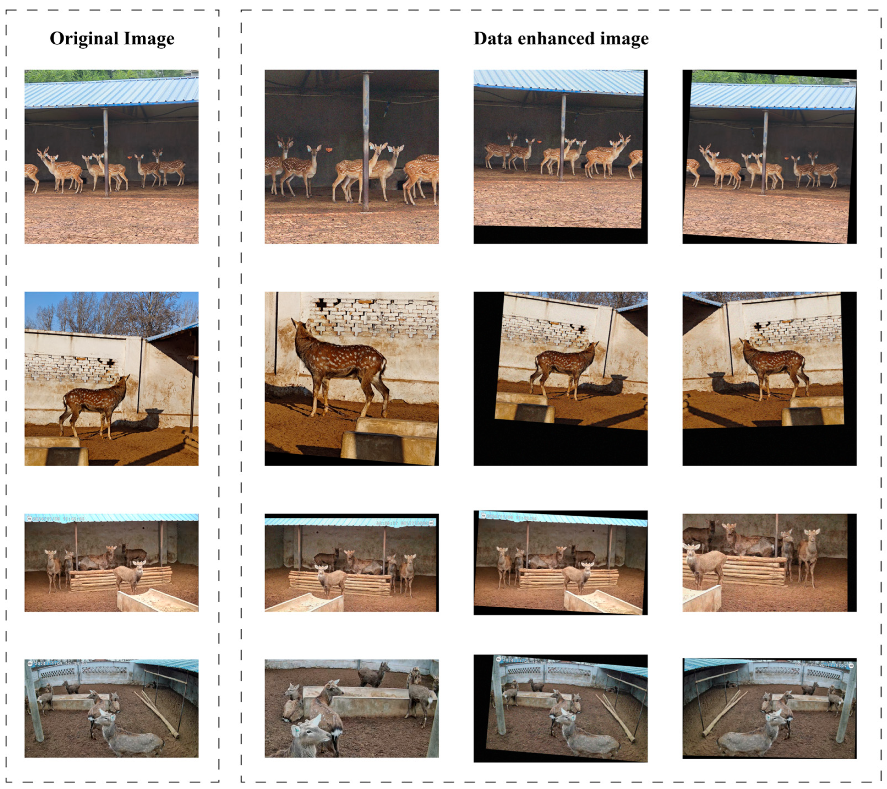 Agriculture 15 01218 g002