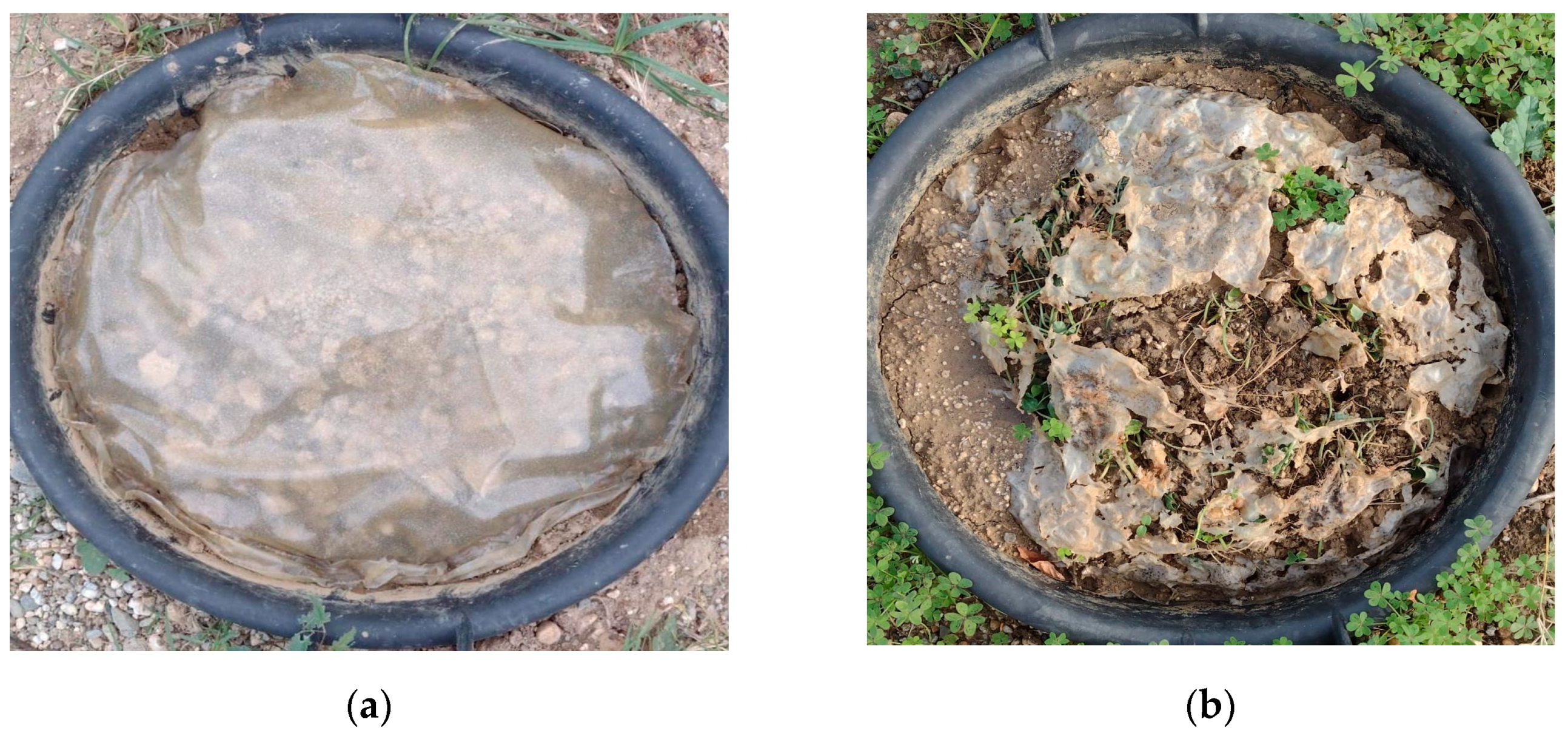 Agriculture 15 01219 g002