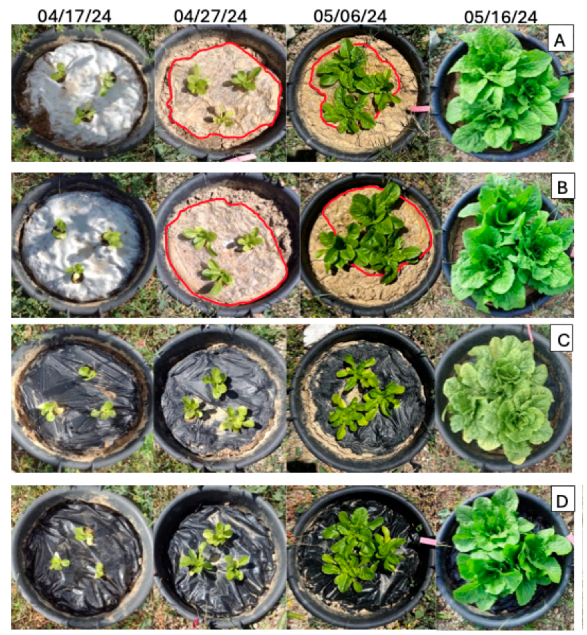 Agriculture 15 01219 g003