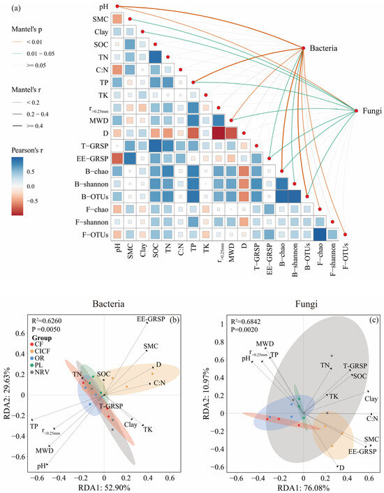Indirect Regulation of SOC by Different Land Uses in Karst