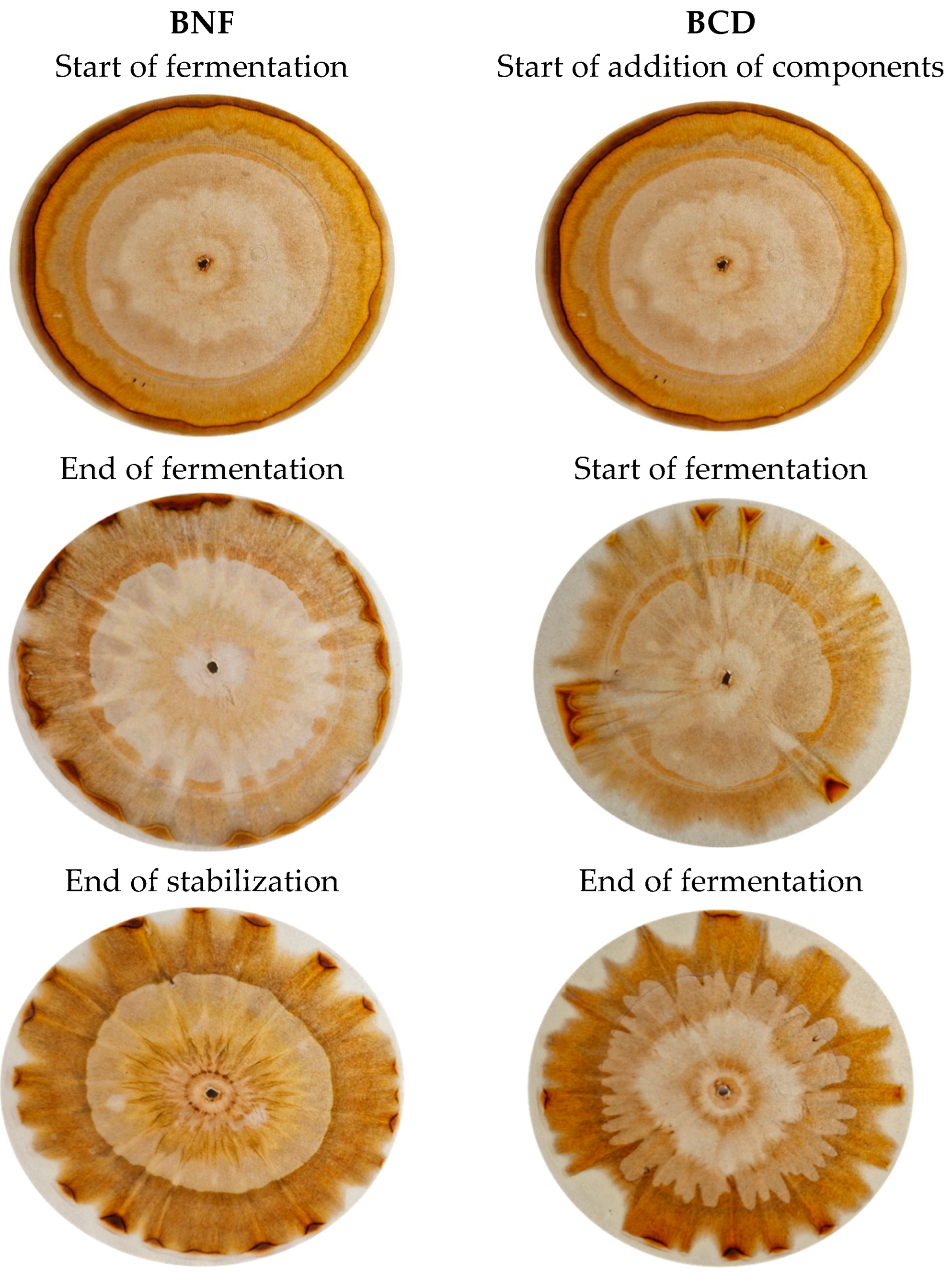 Agriculture 15 01225 g002