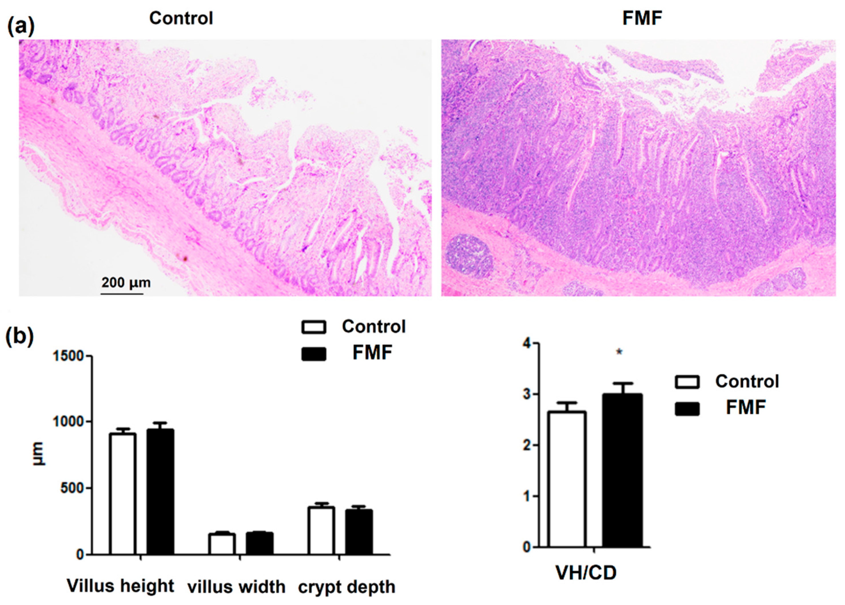Agriculture 15 01230 g001