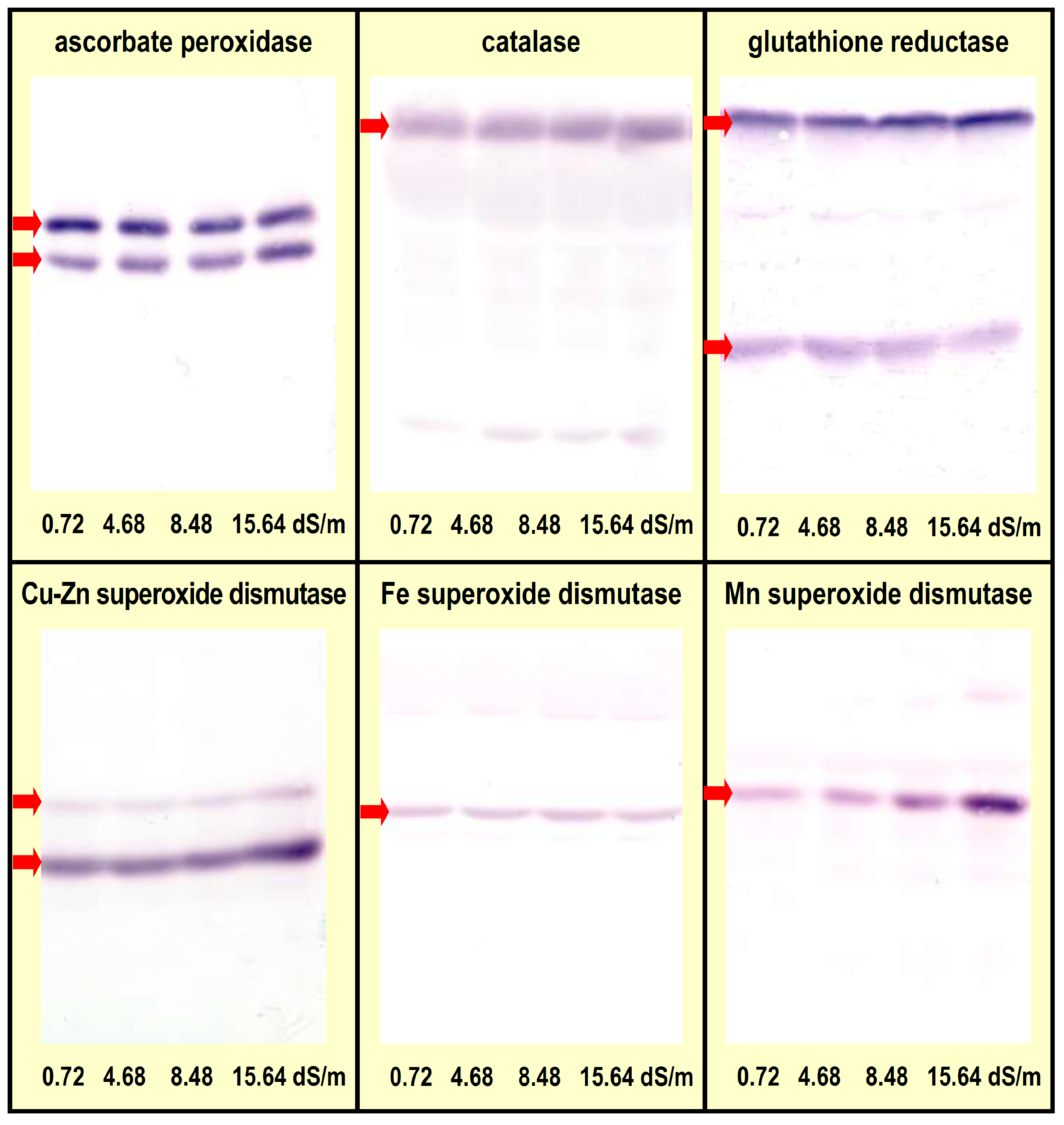Agriculture 15 01234 g005