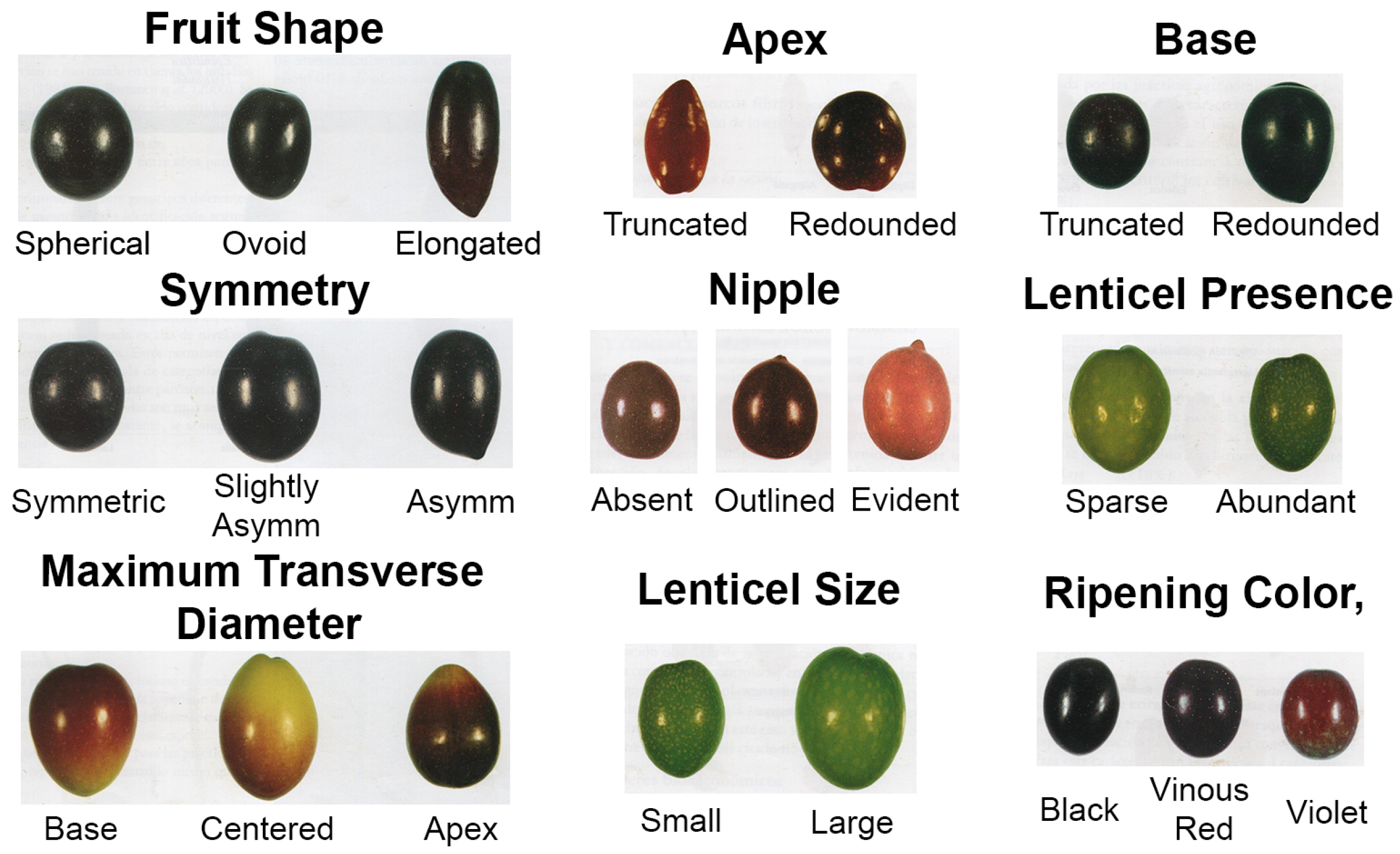 Agriculture 15 01237 g002