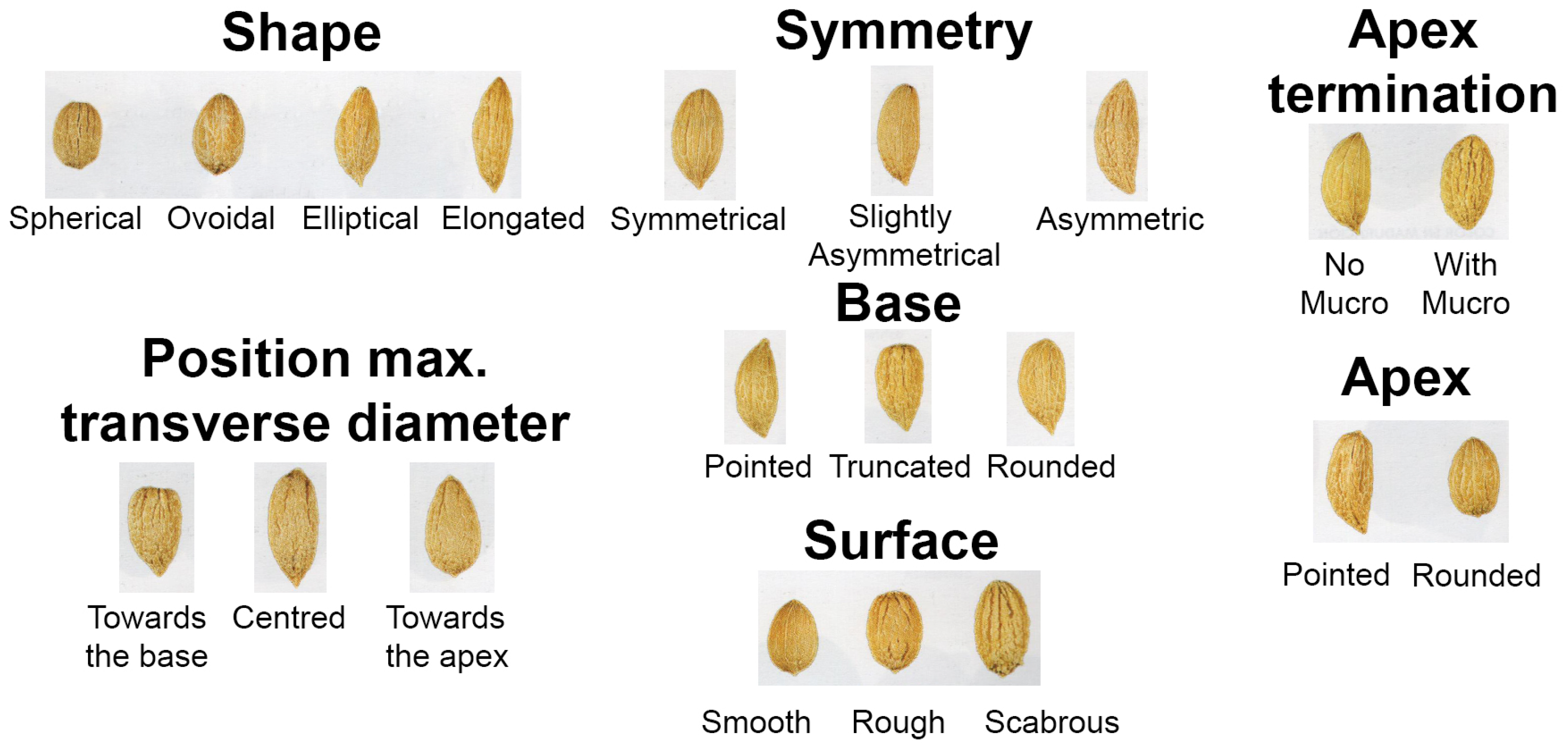 Agriculture 15 01237 g003