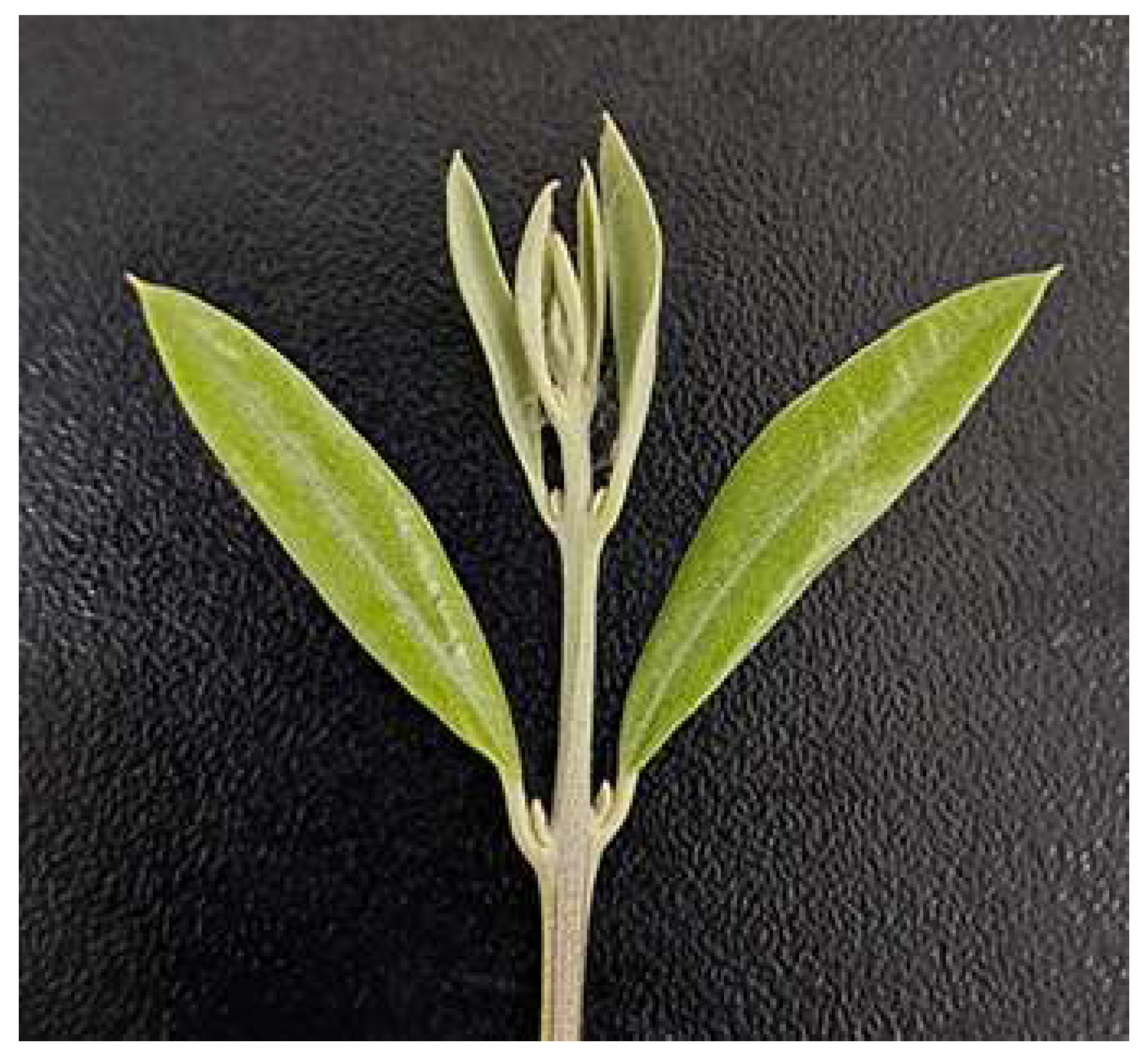 Agriculture 15 01237 g004