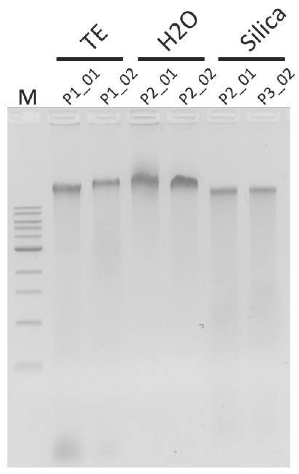 Agriculture 15 01237 g006
