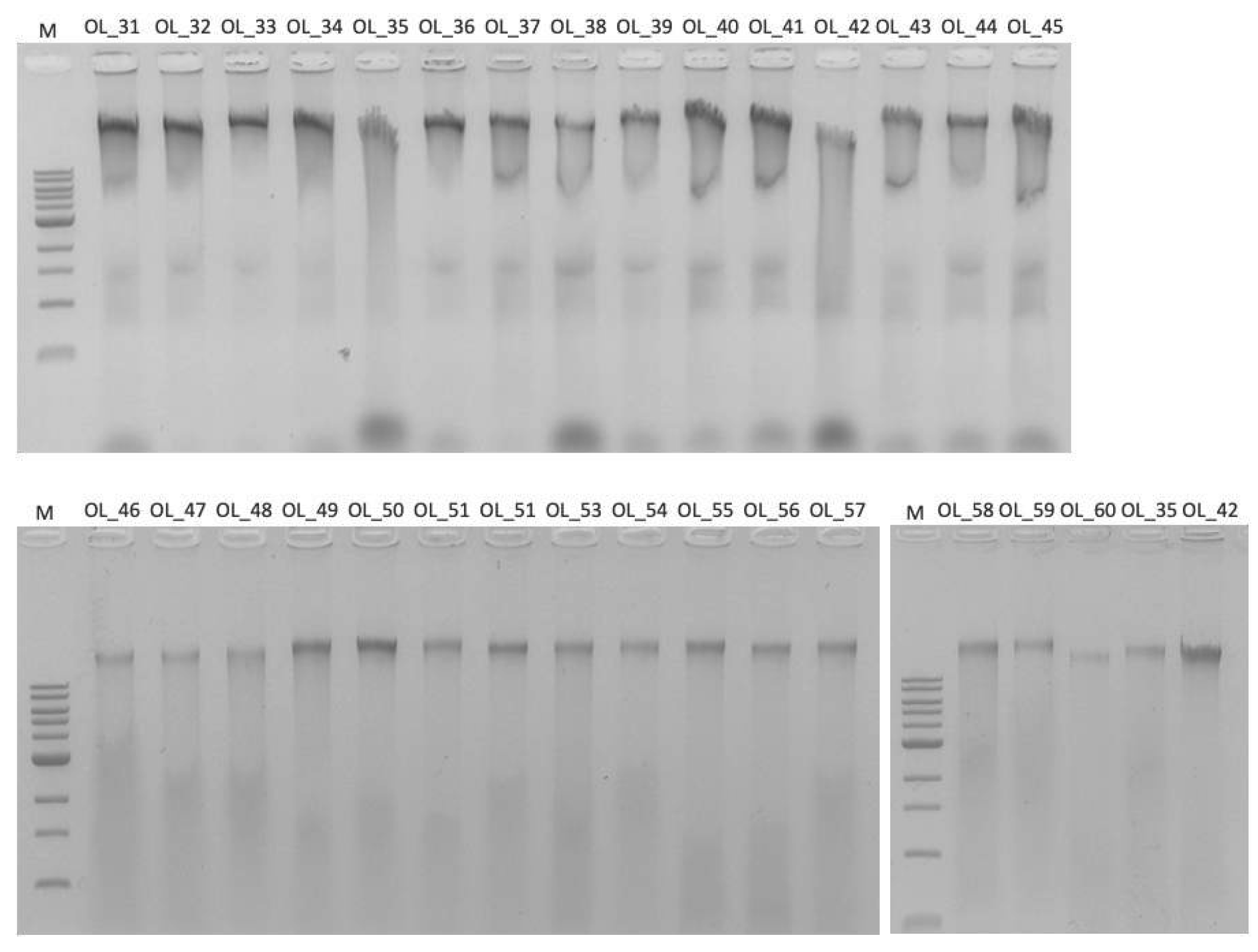 Agriculture 15 01237 g007