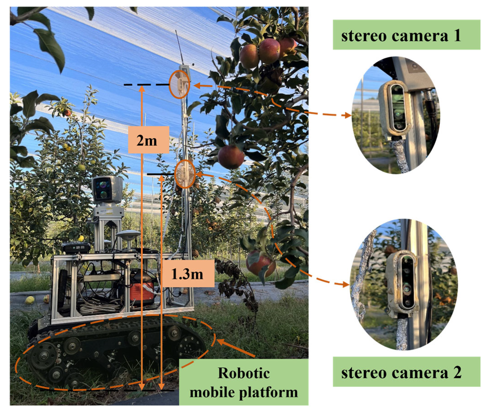 Agriculture 15 01238 g001