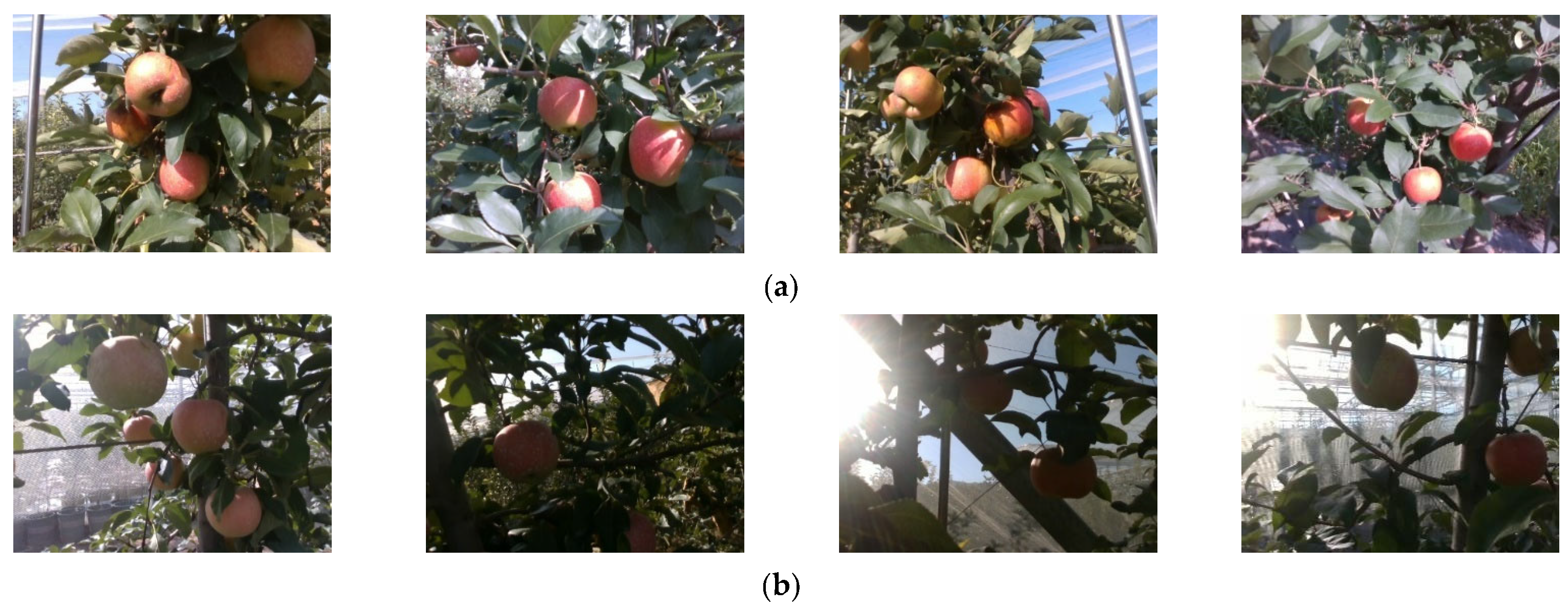 Agriculture 15 01238 g002