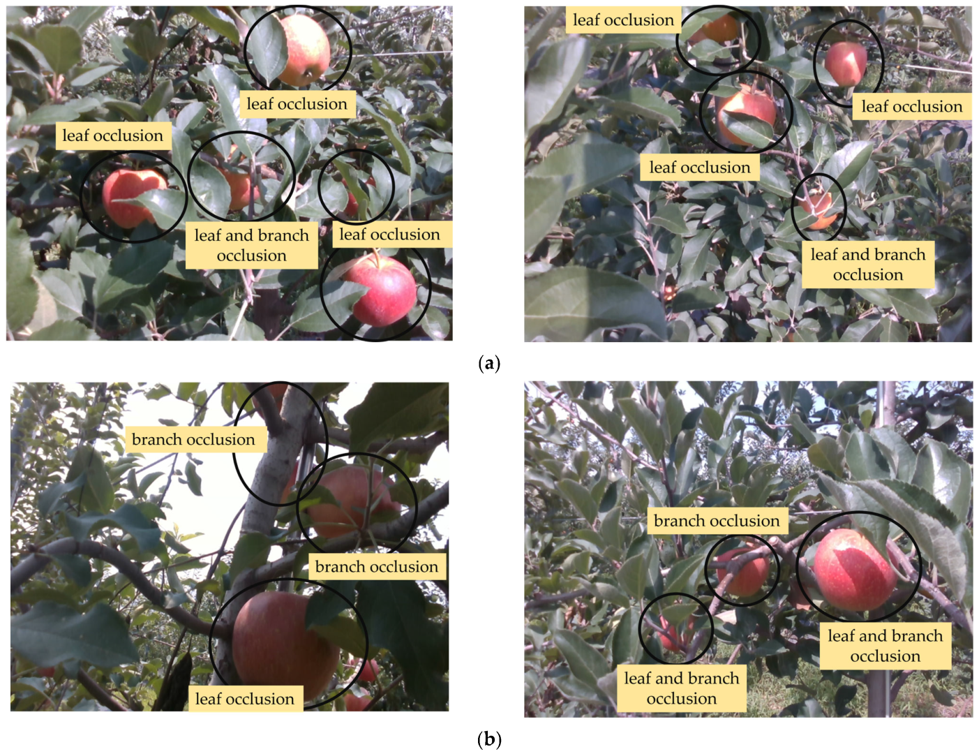 Agriculture 15 01238 g003