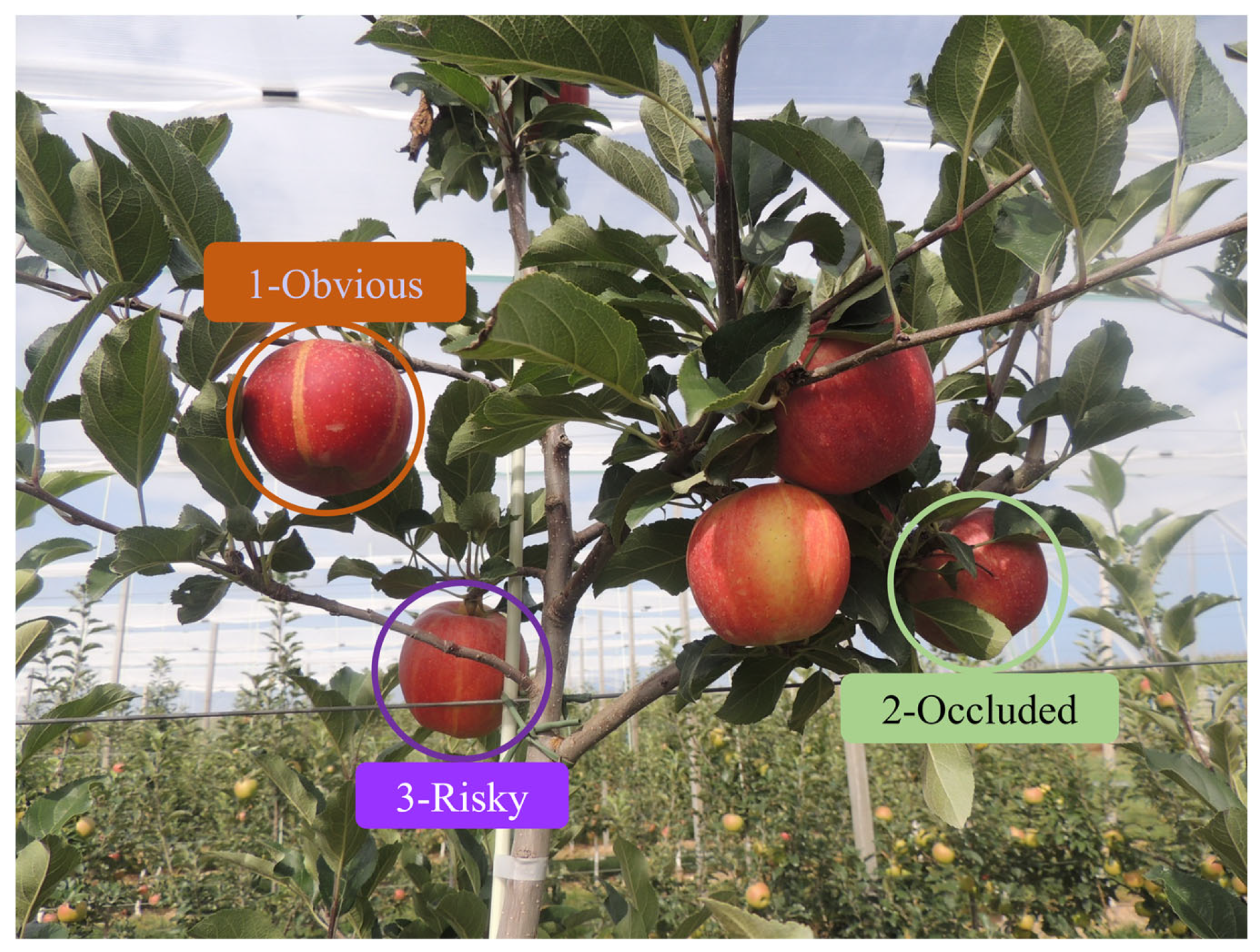 Agriculture 15 01238 g004