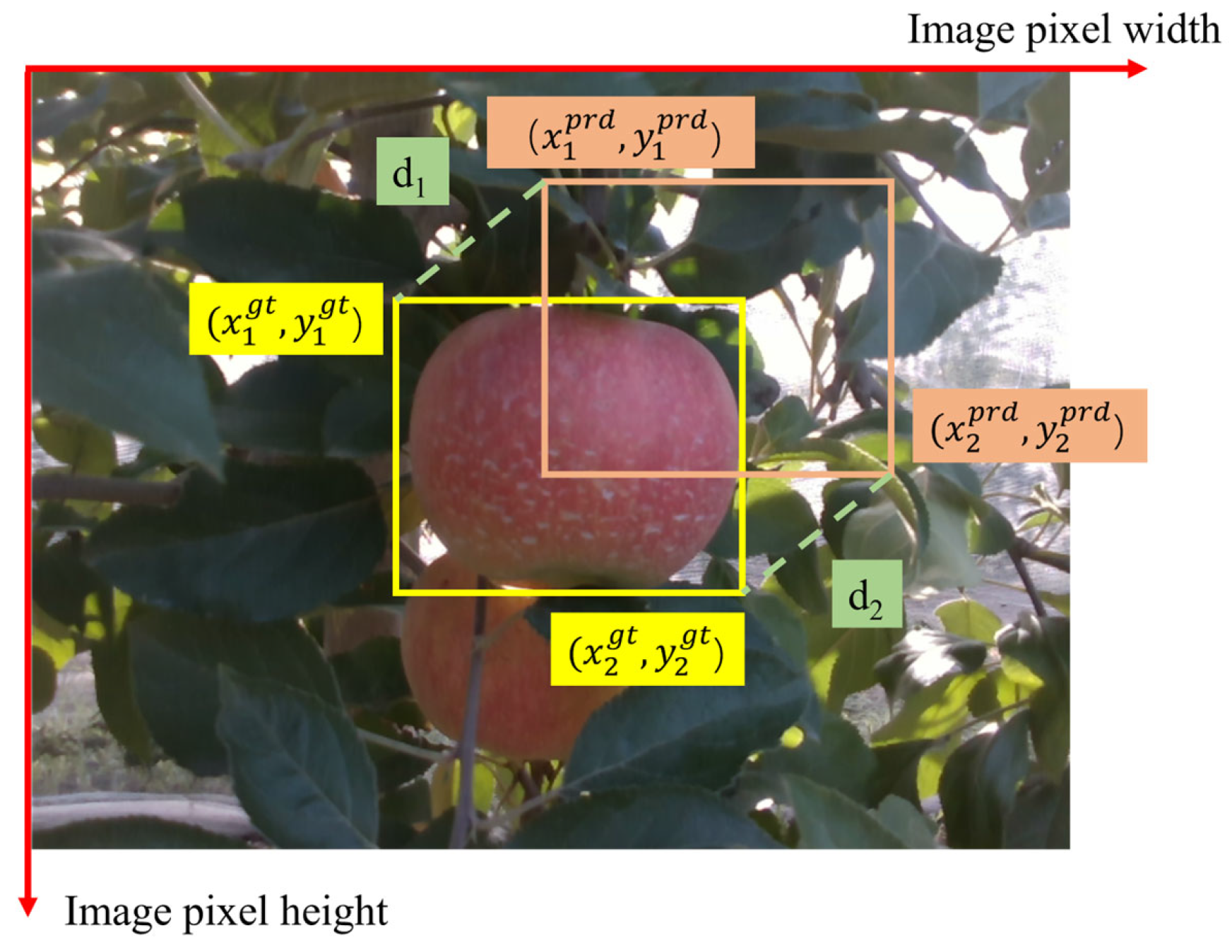 Agriculture 15 01238 g008