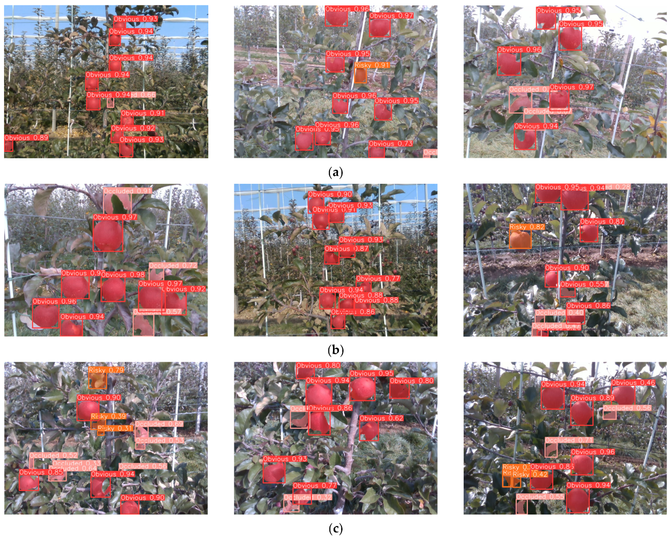 Agriculture 15 01238 g010