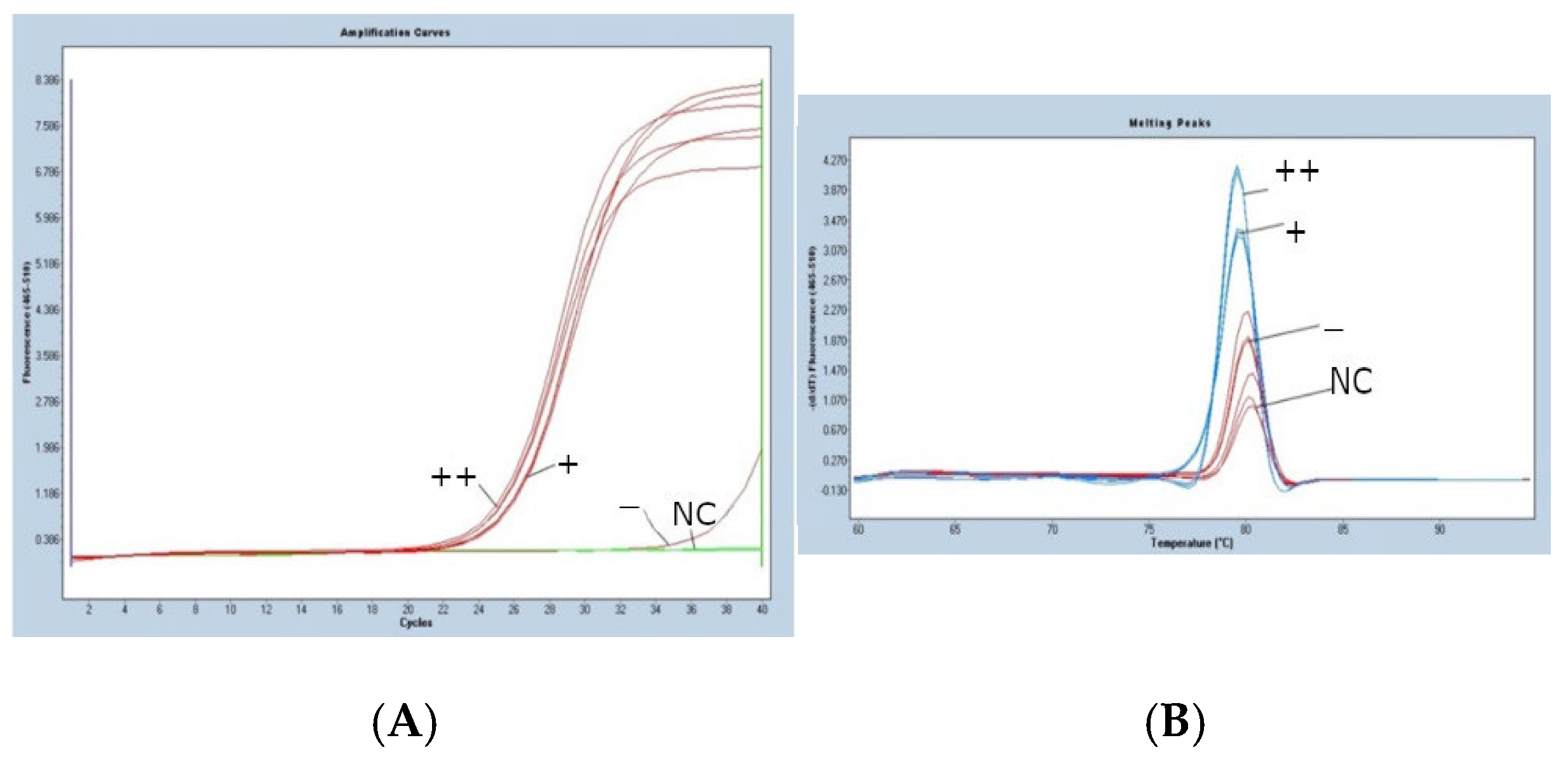 Agriculture 15 01239 g002