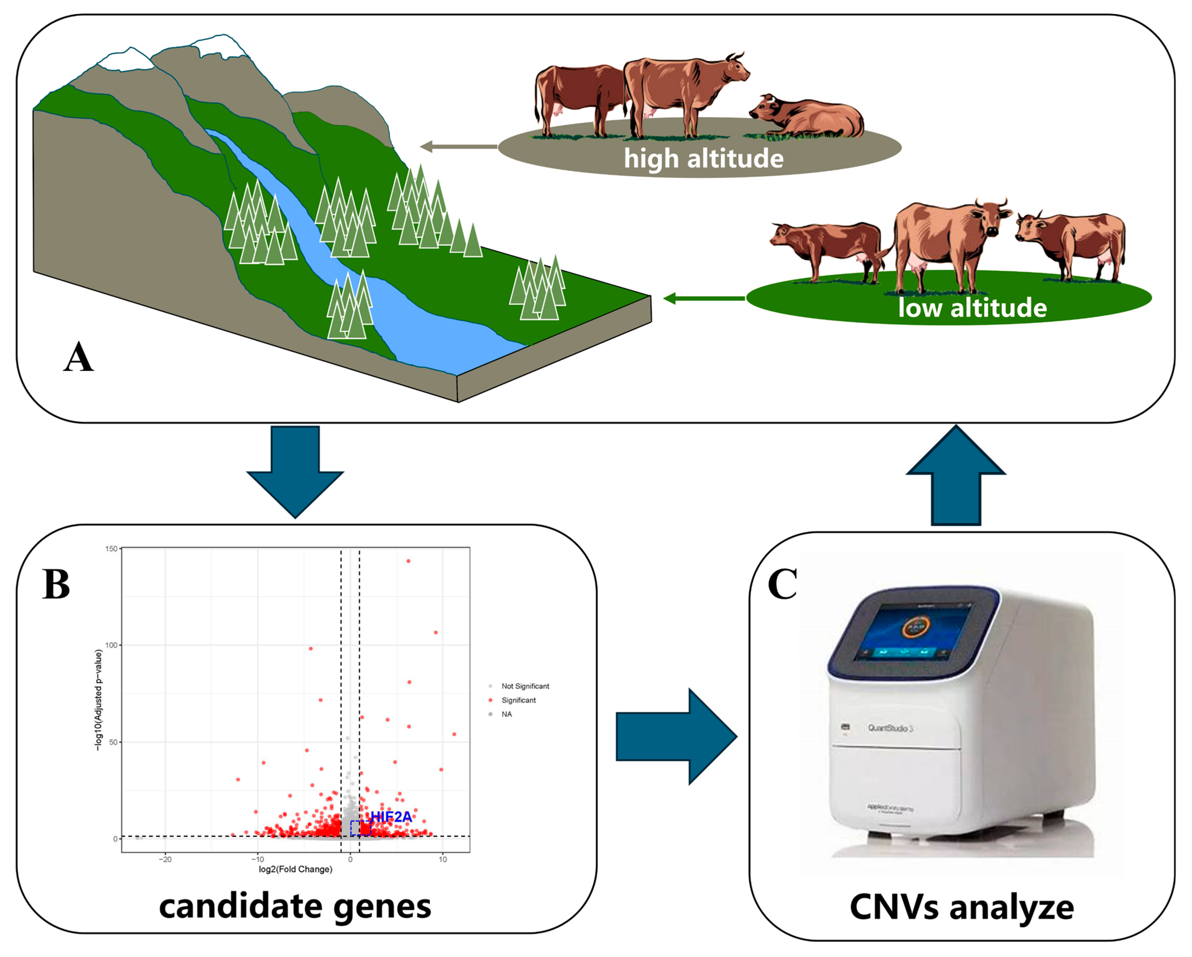 Agriculture 15 01240 g001
