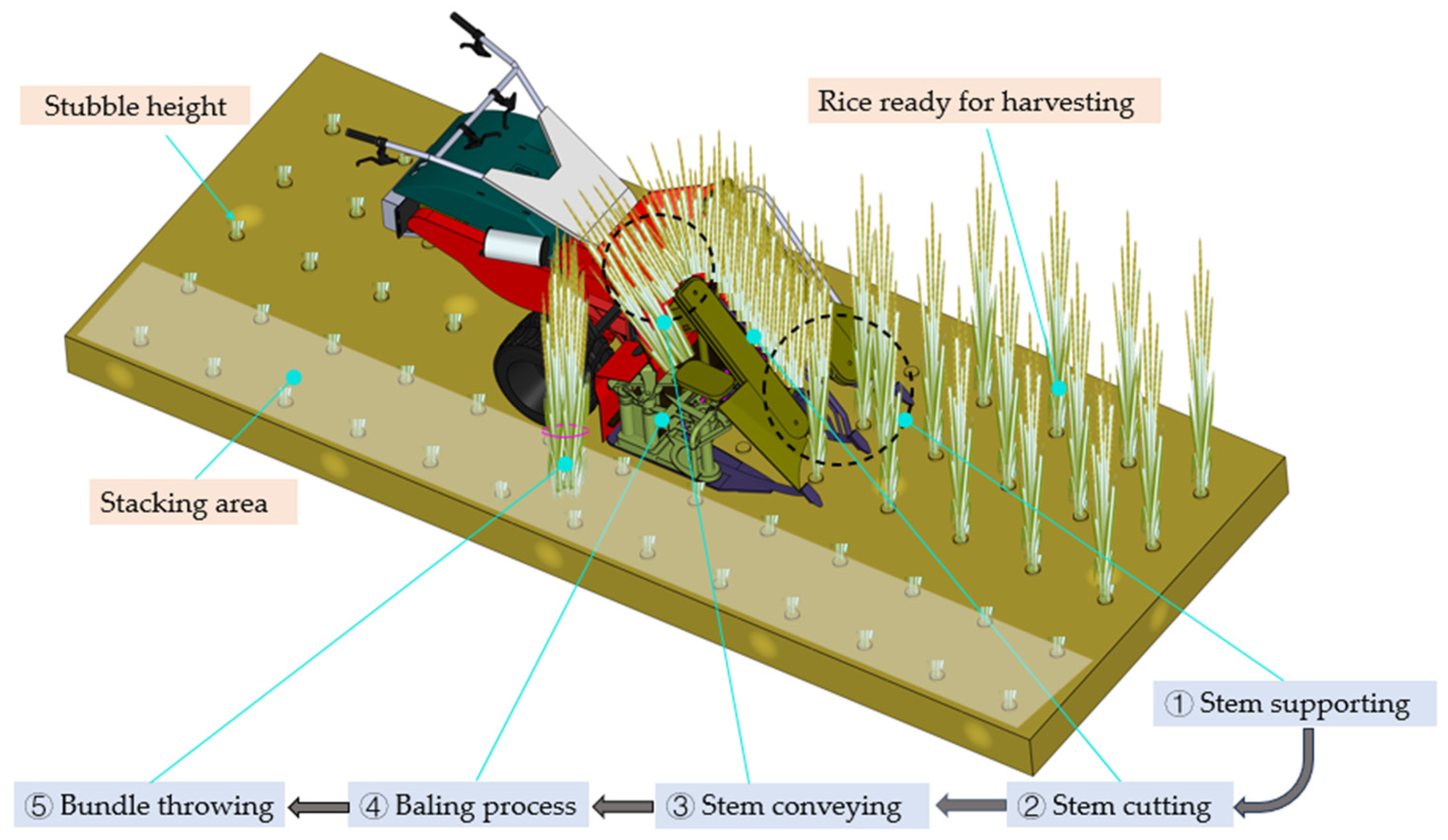 Agriculture 15 01242 g001