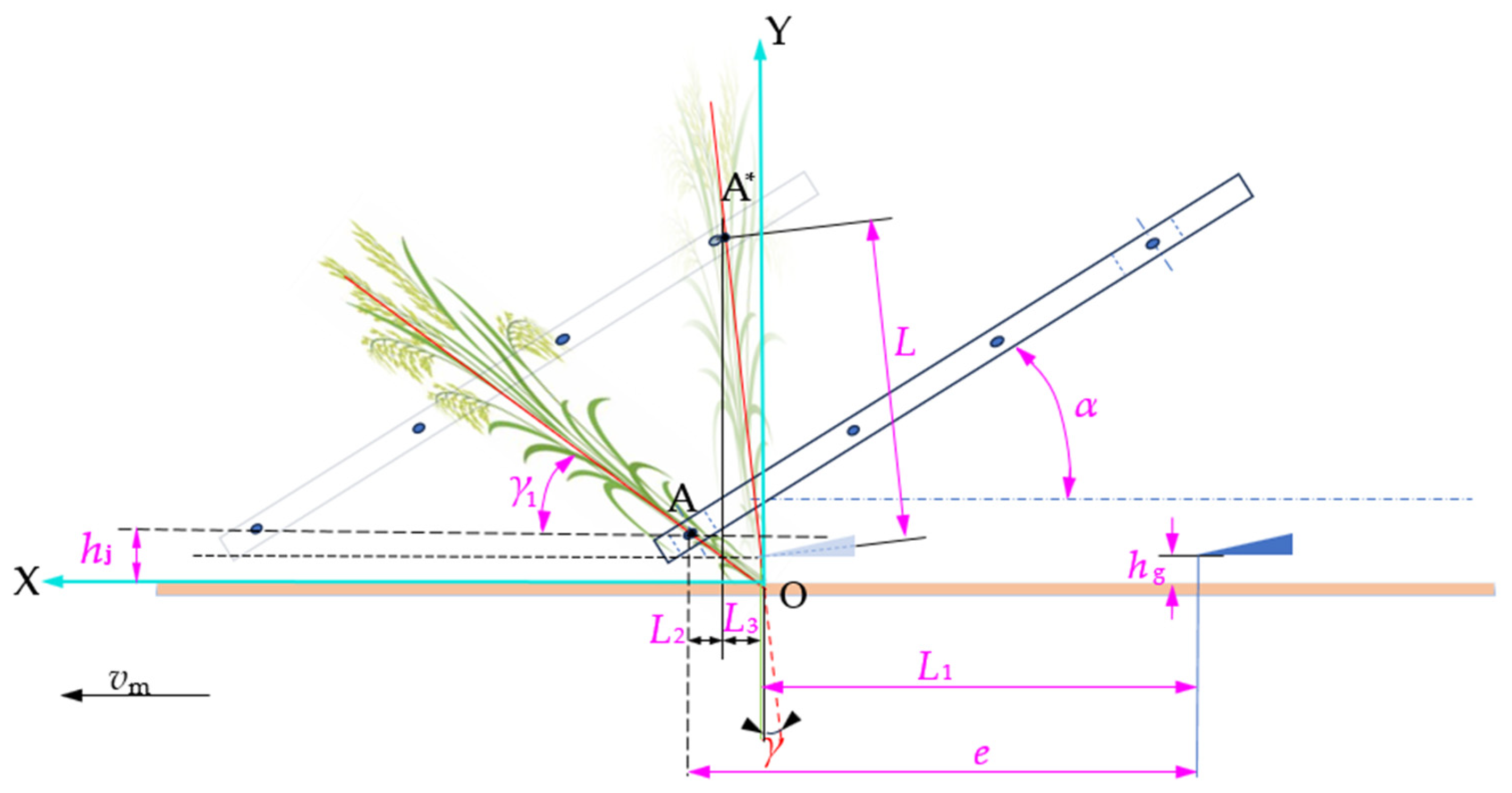 Agriculture 15 01242 g004