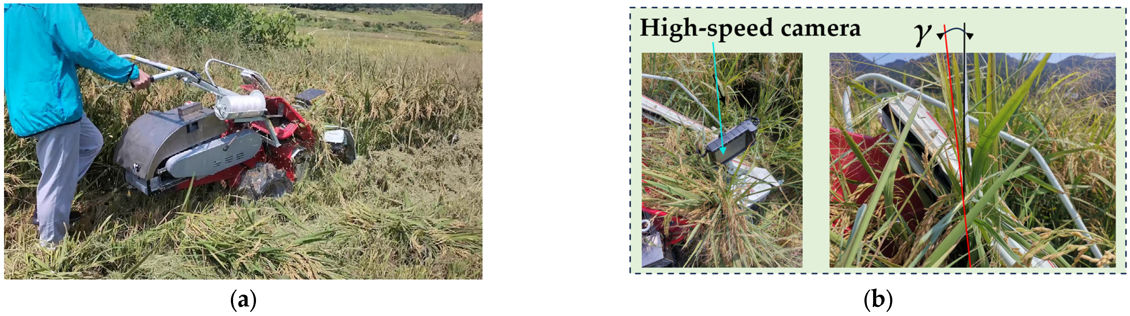 Agriculture 15 01242 g011