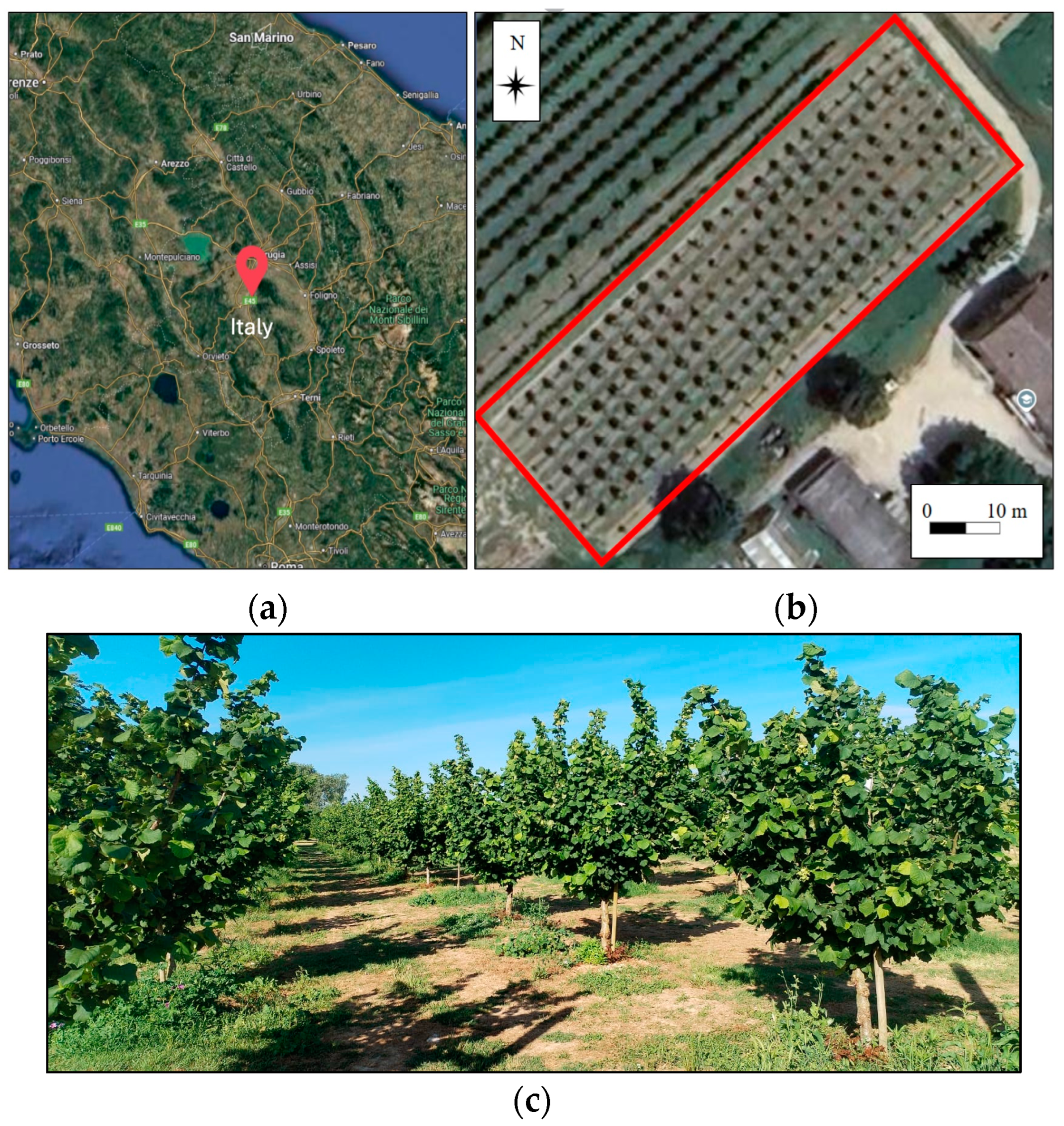 Agriculture 15 01251 g002