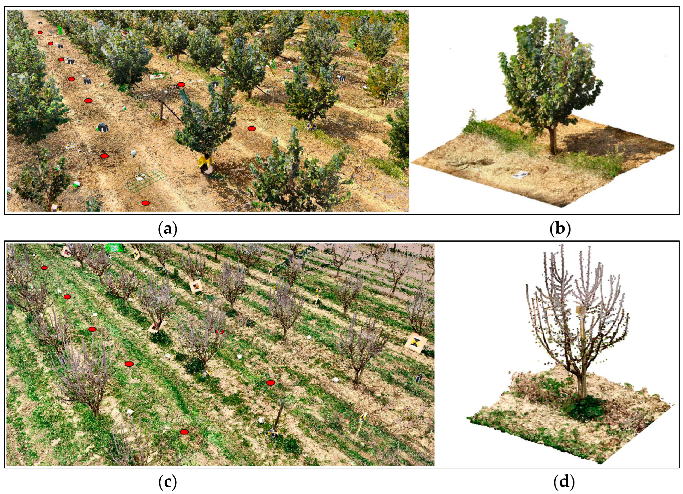 Agriculture 15 01251 g004