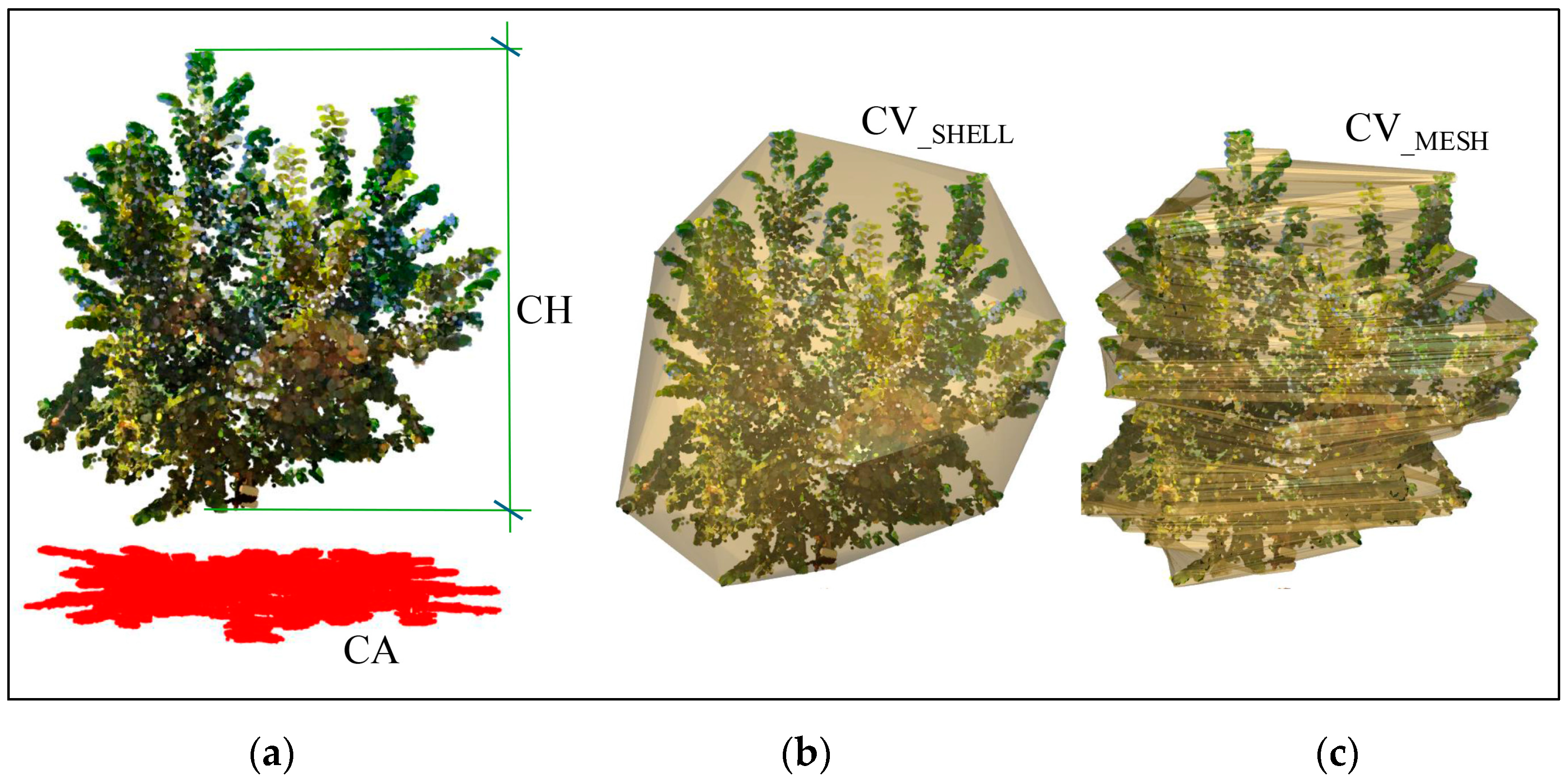 Agriculture 15 01251 g005