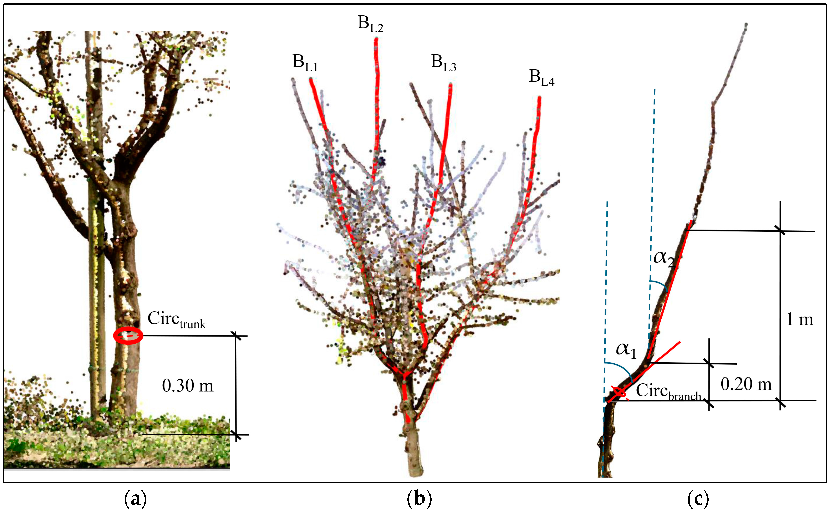 Agriculture 15 01251 g007
