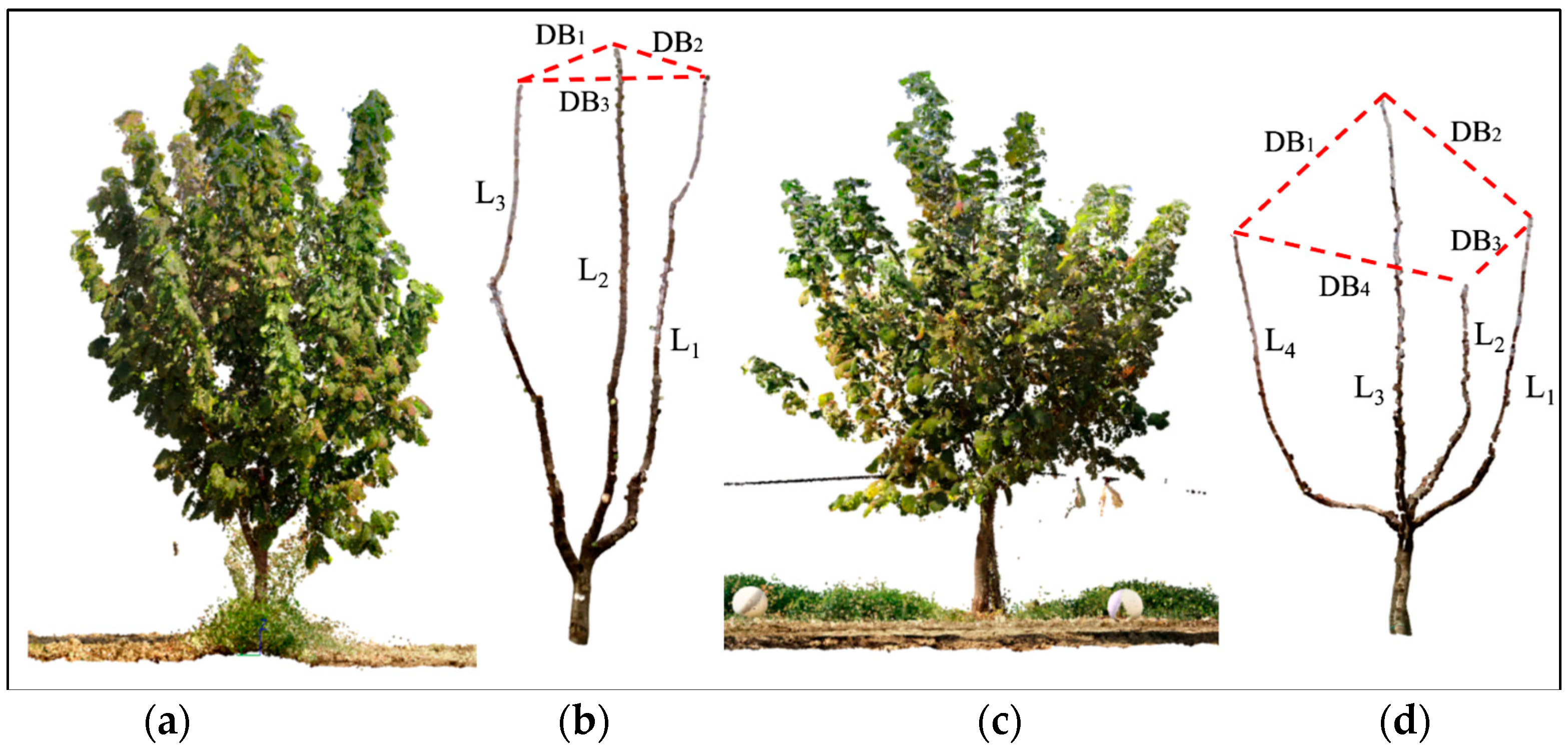 Agriculture 15 01251 g008