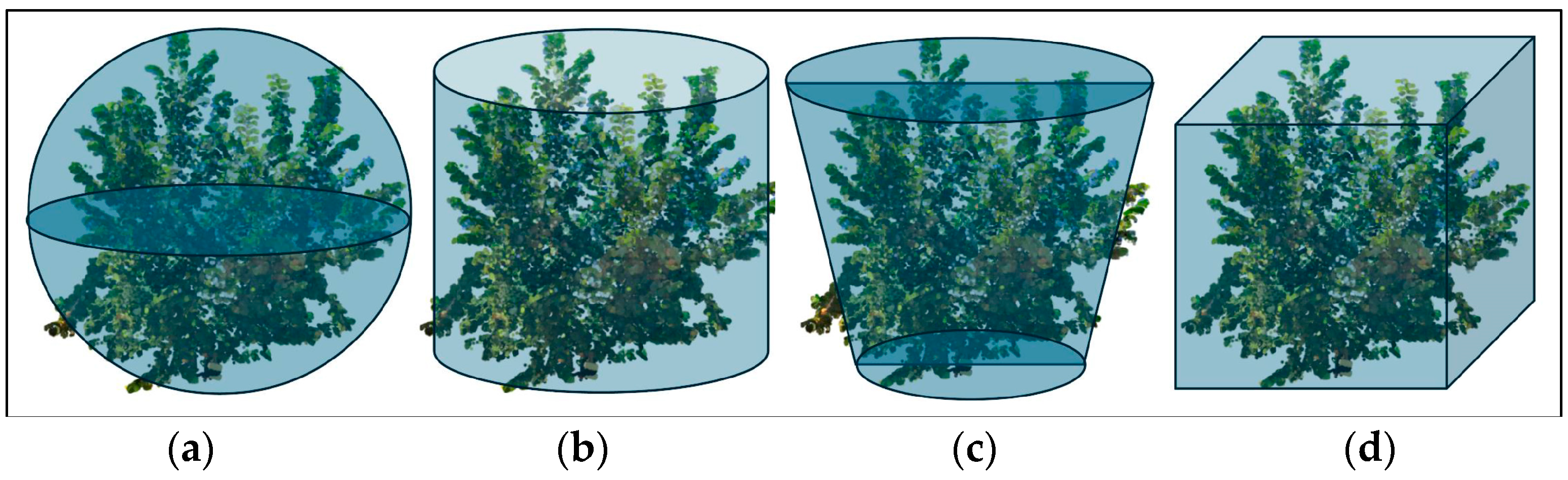 Agriculture 15 01251 g009