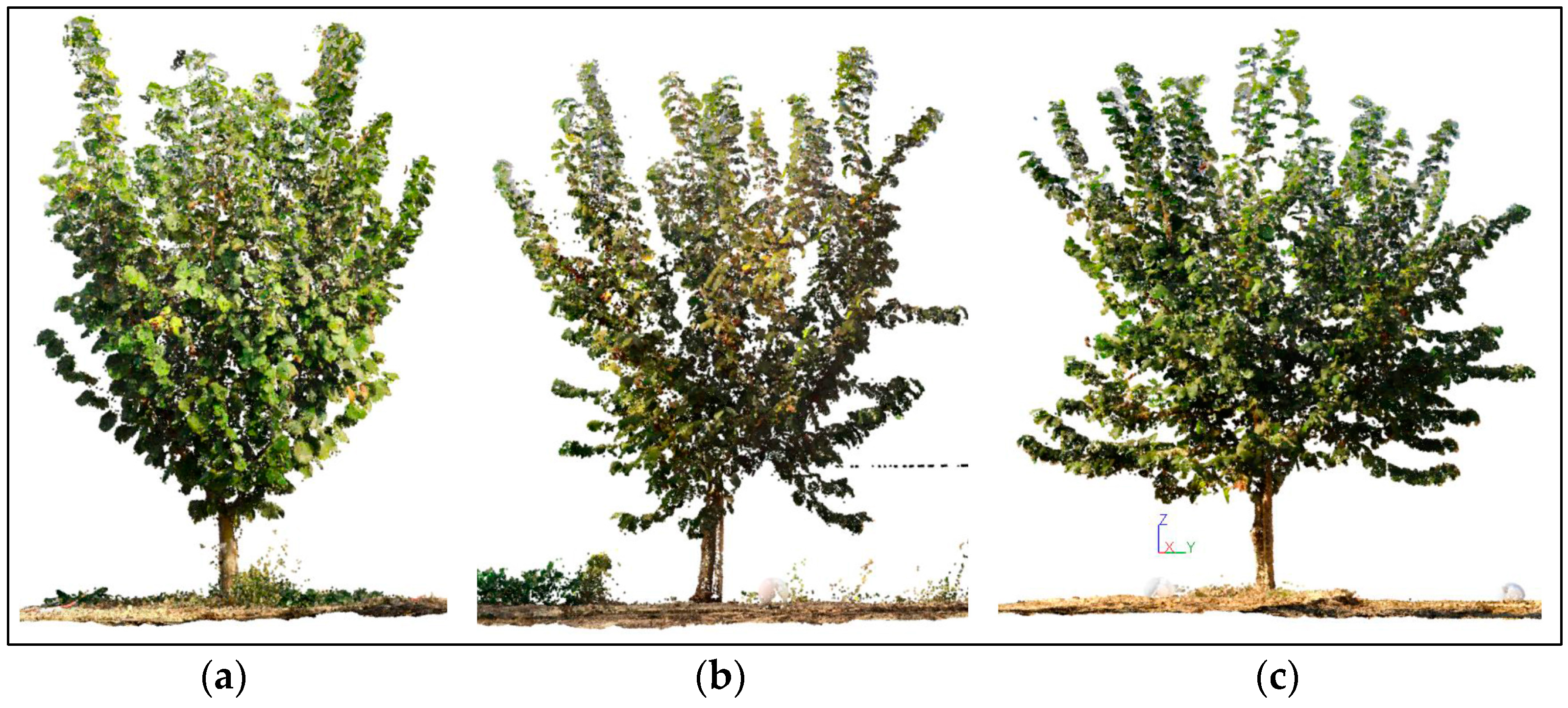 Agriculture 15 01251 g010