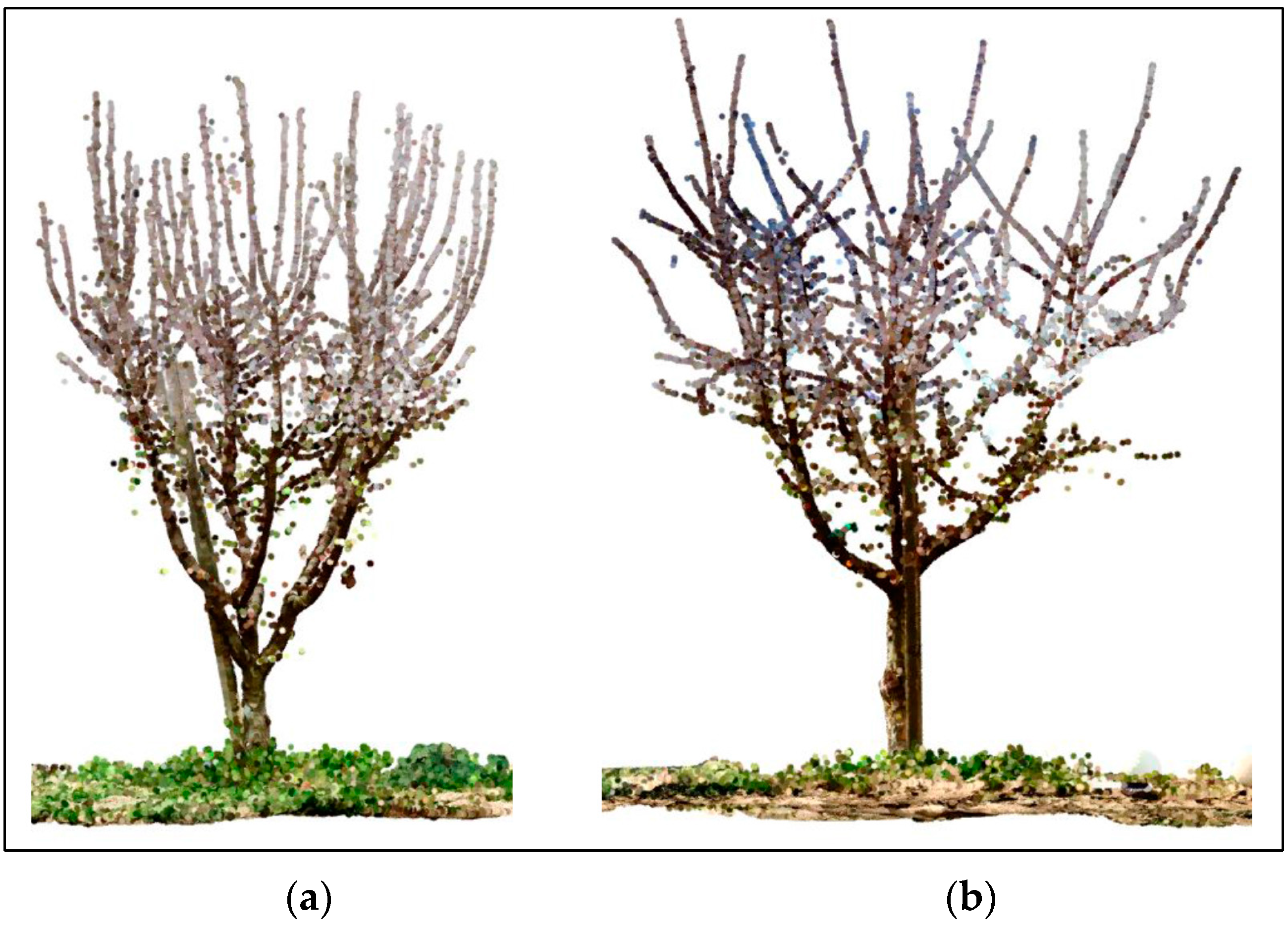 Agriculture 15 01251 g012