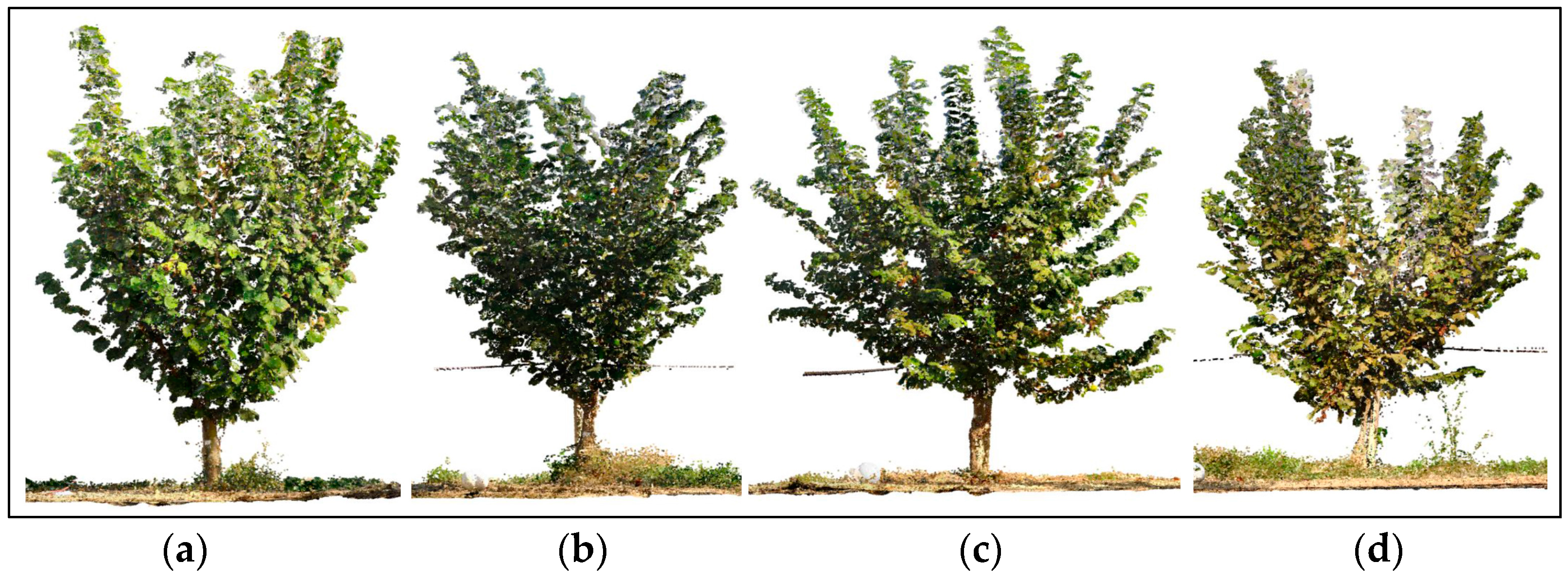 Agriculture 15 01251 g014