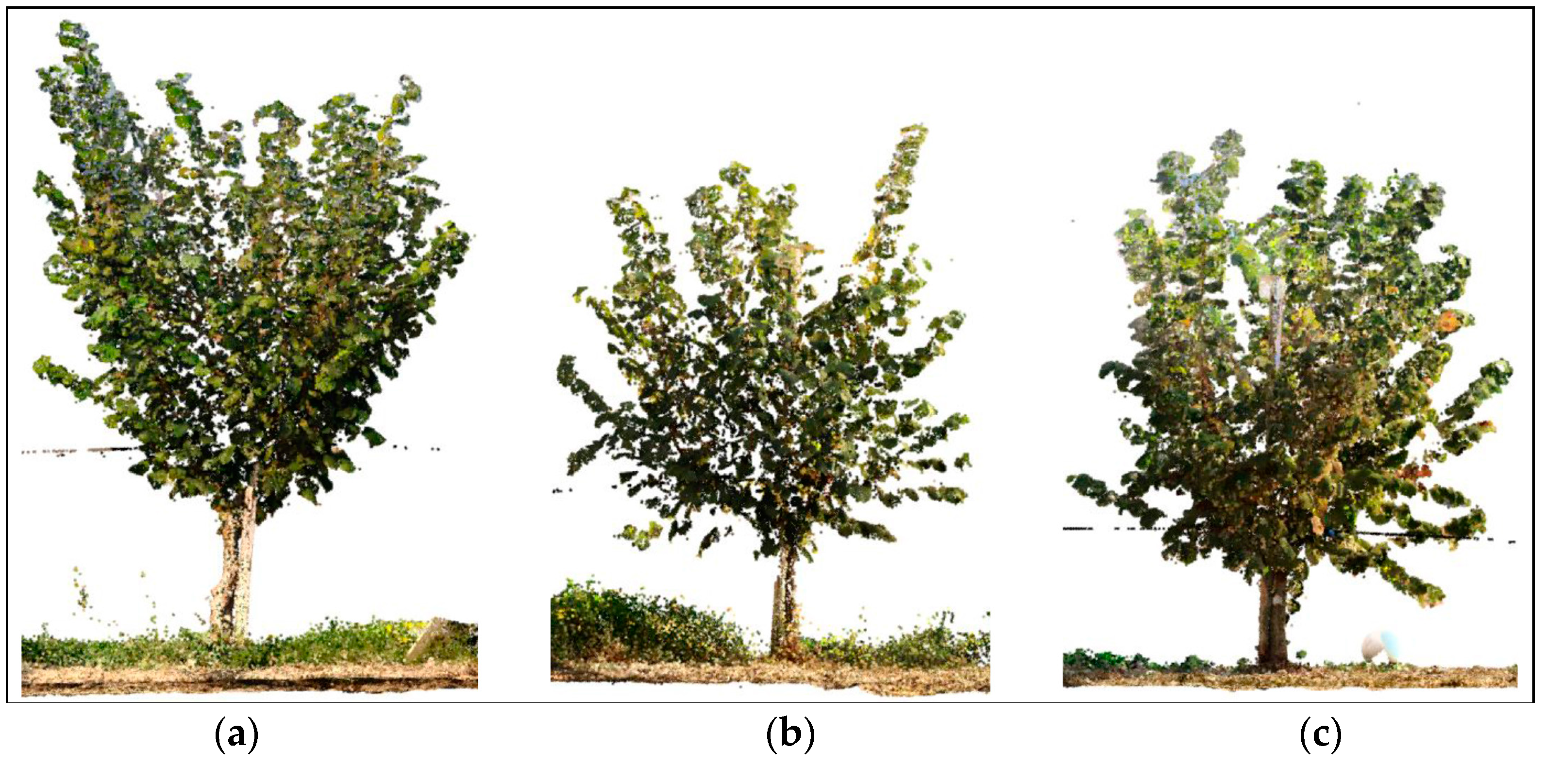 Agriculture 15 01251 g015