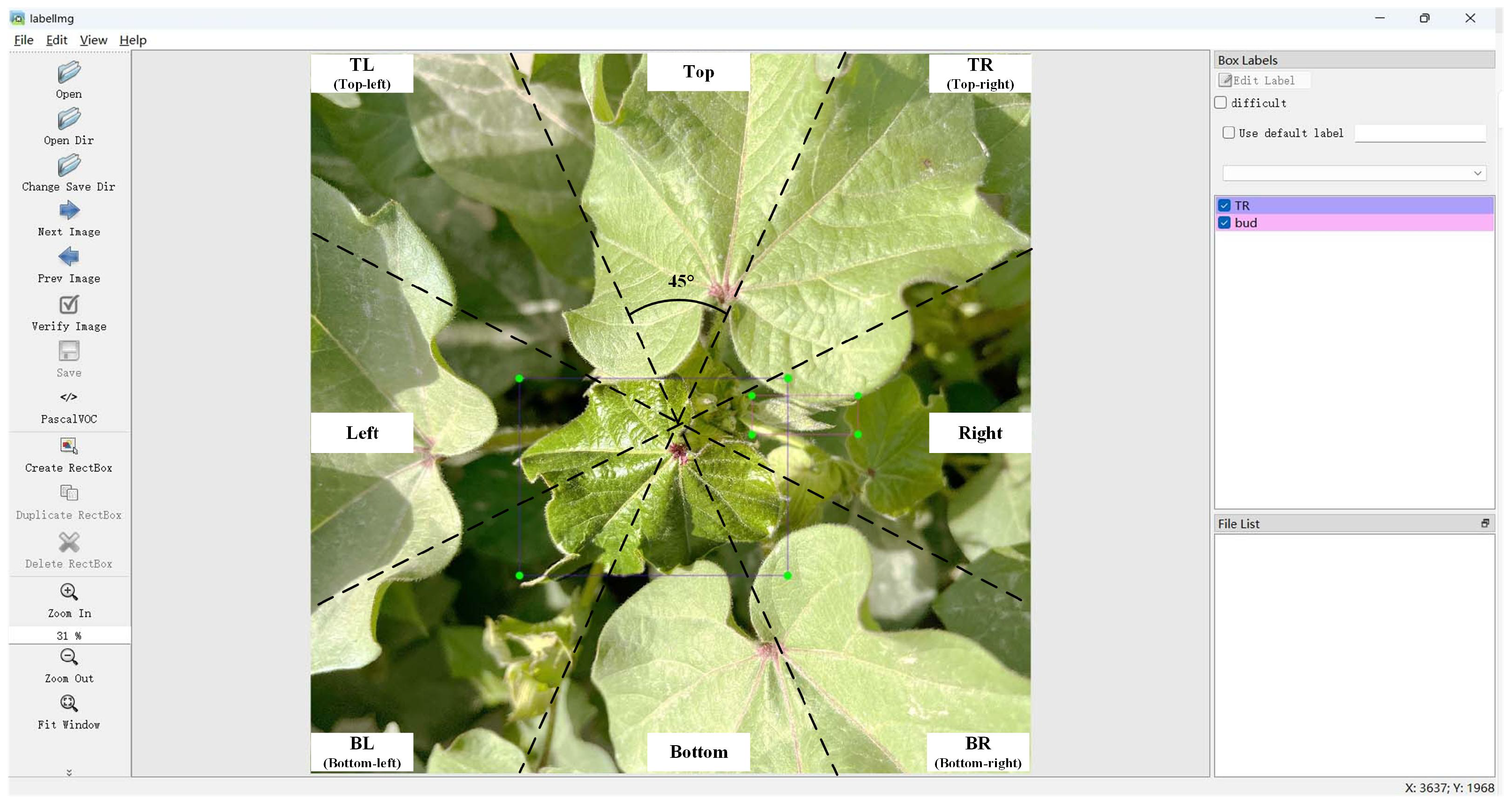 Agriculture 15 01254 g002