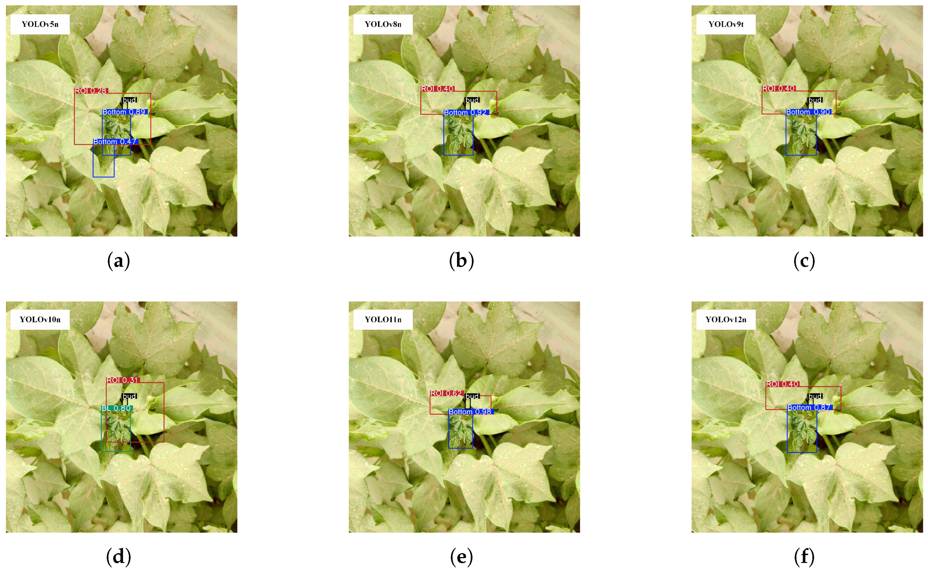Agriculture 15 01254 g011