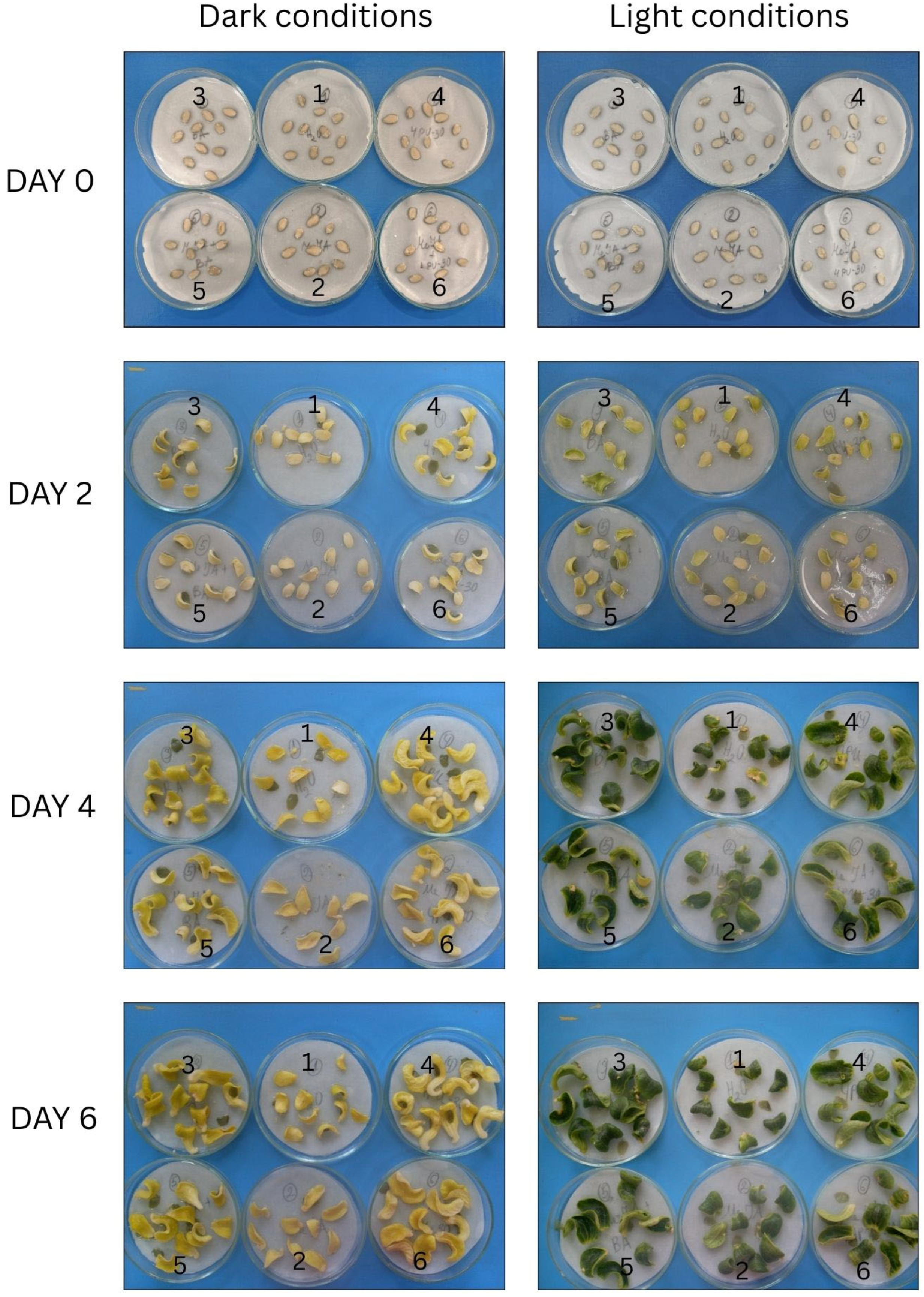Agriculture 15 01258 g008 Agriculture 15 01258 g008