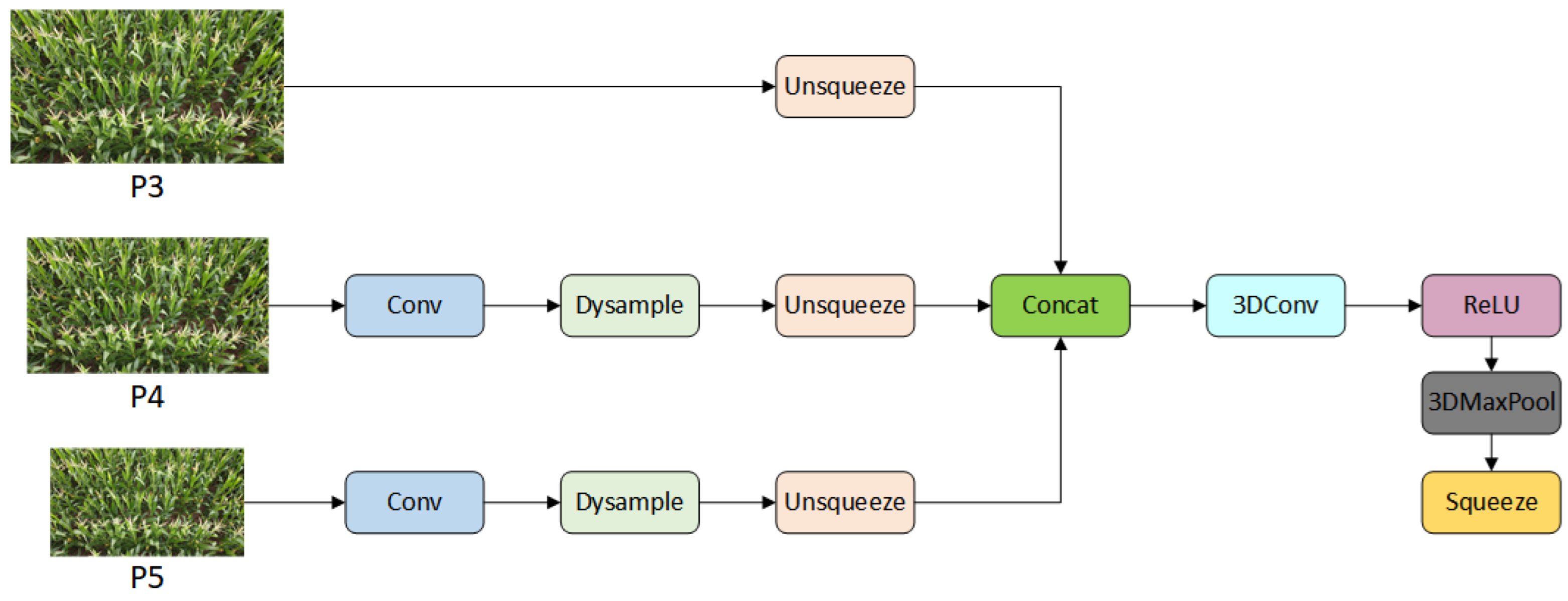 Agriculture 15 01259 g007