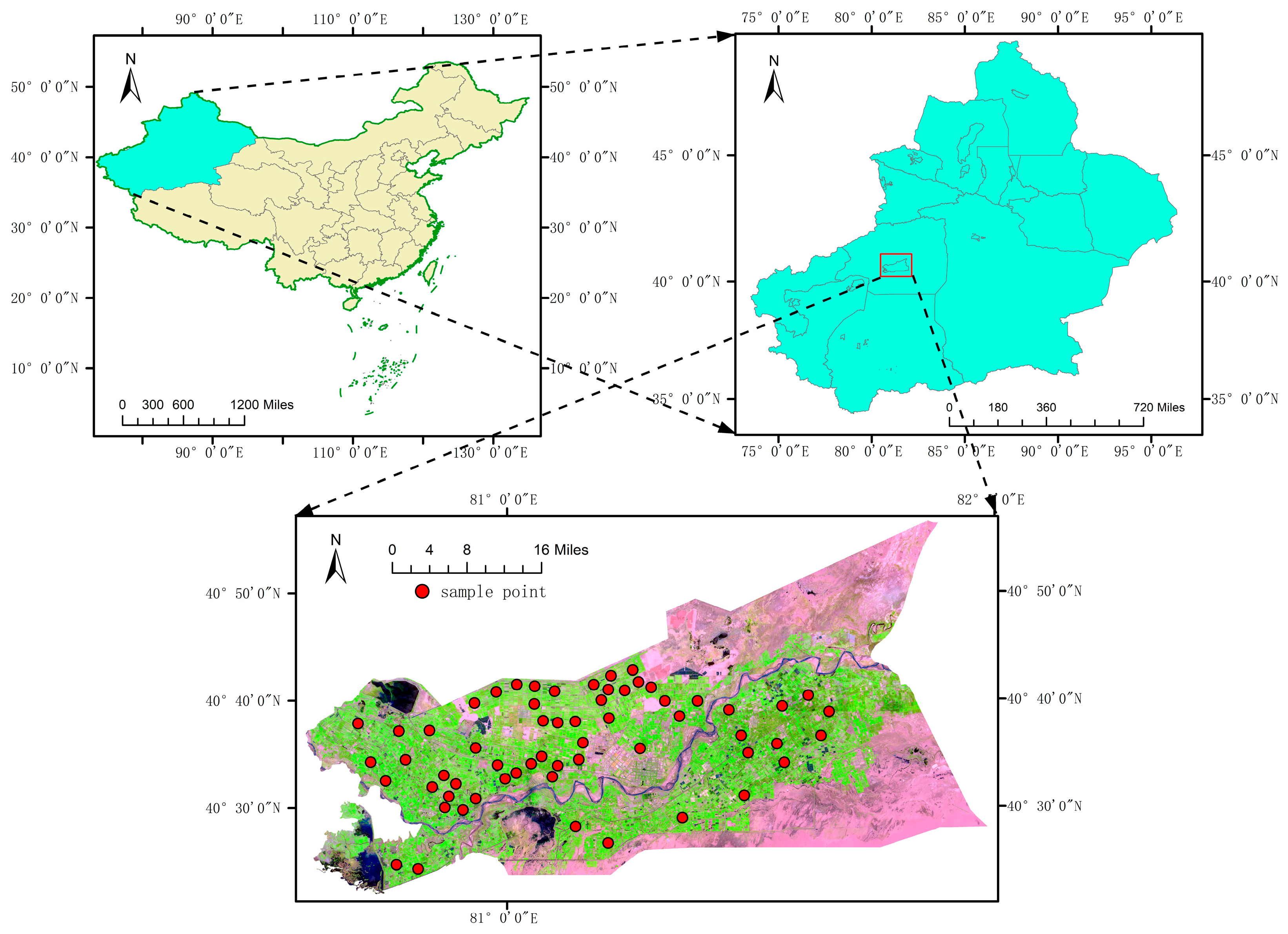 Agriculture 15 01264 g001